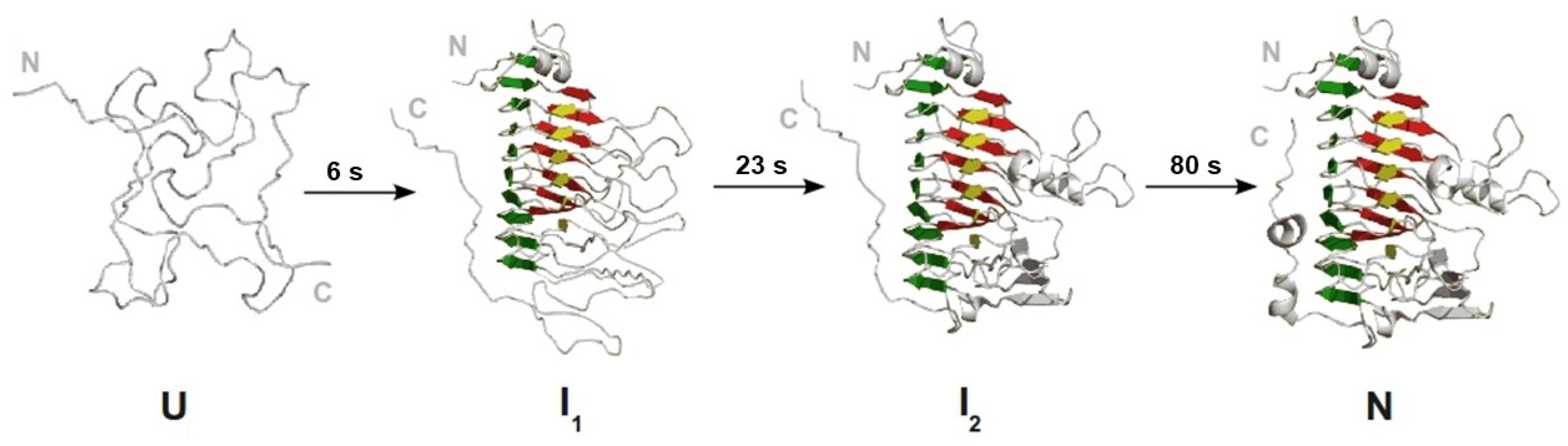Biomolecules 11 01083 g010