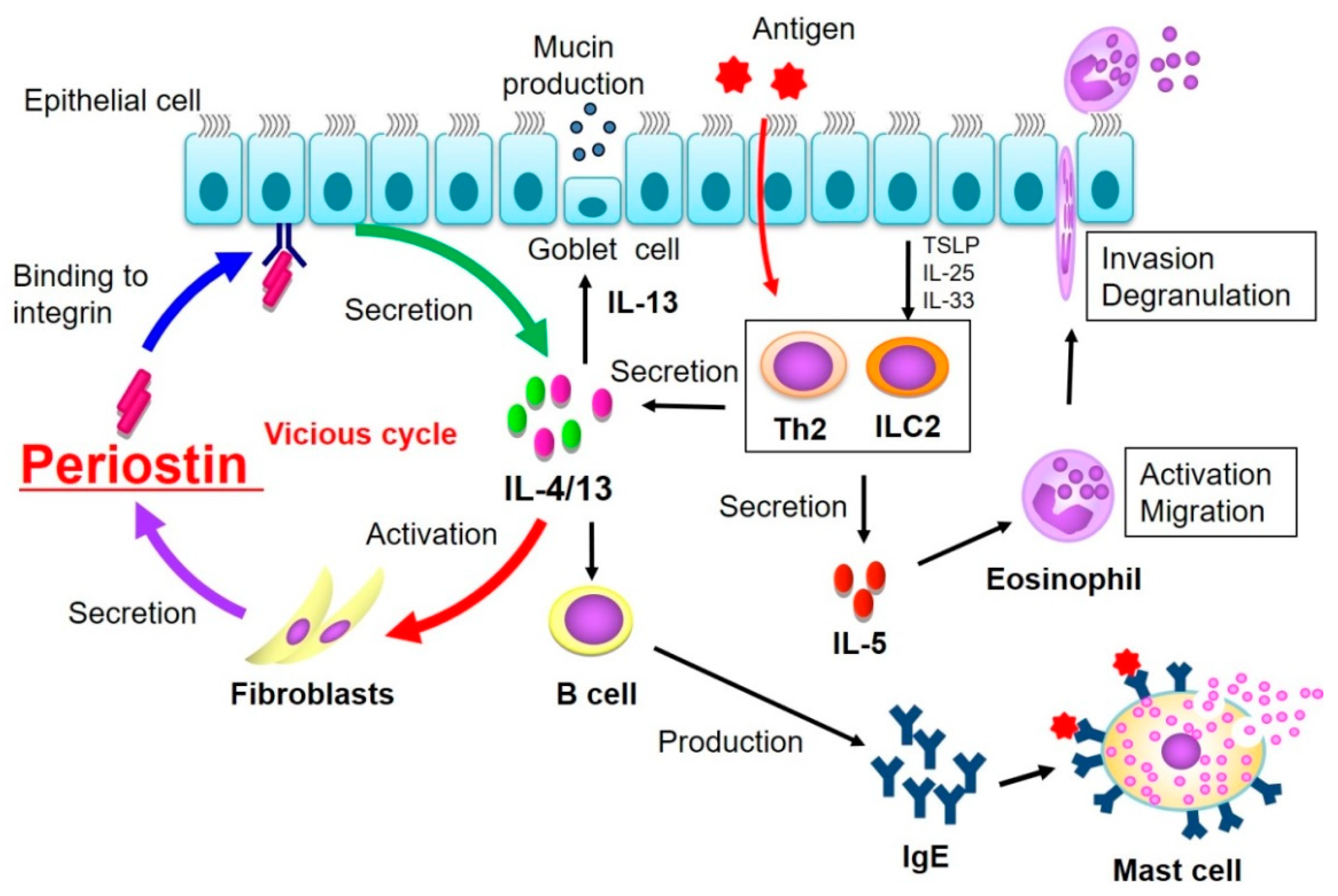Biomolecules 11 01084 g003