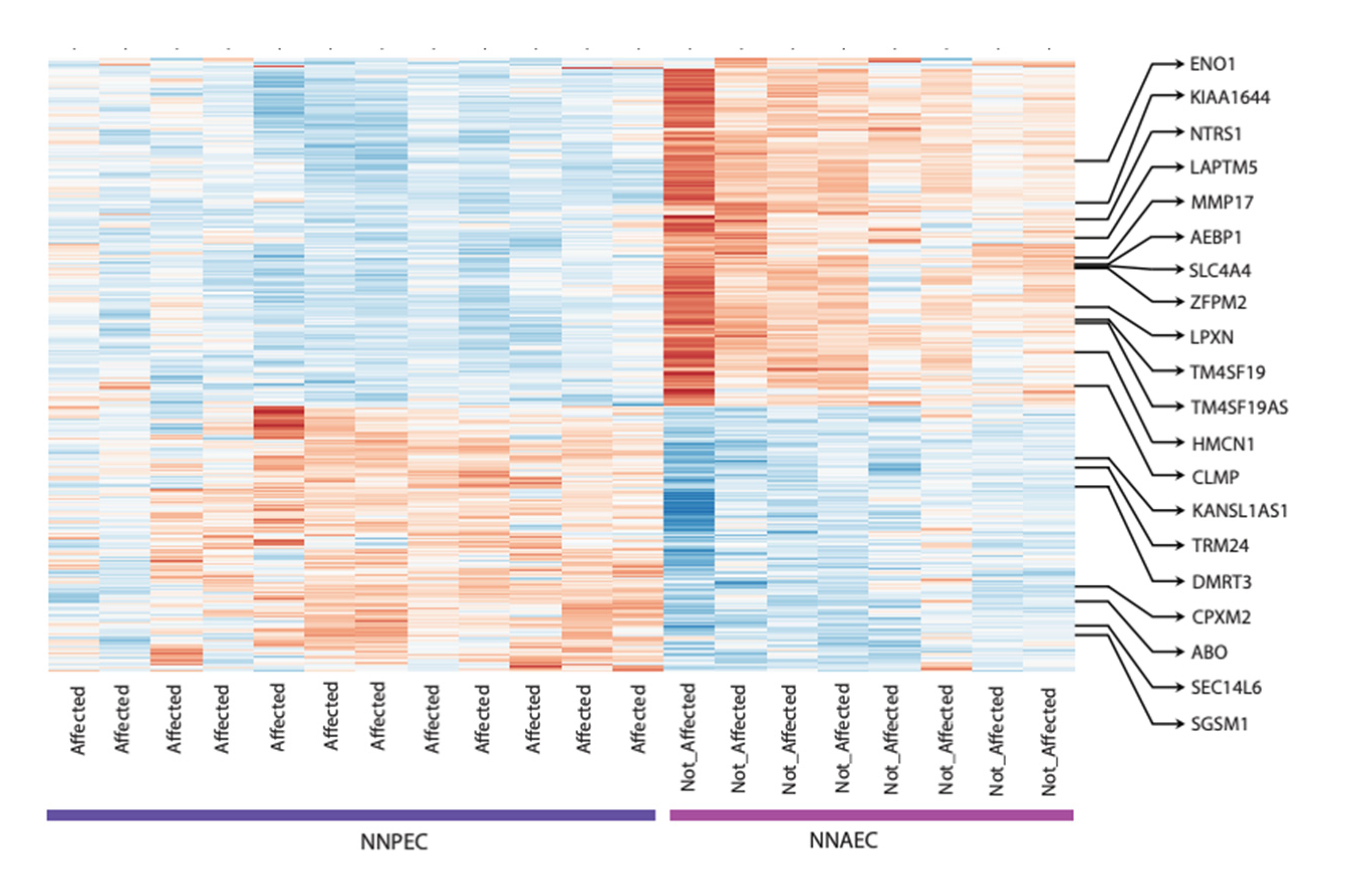 Biomolecules 11 01092 g001