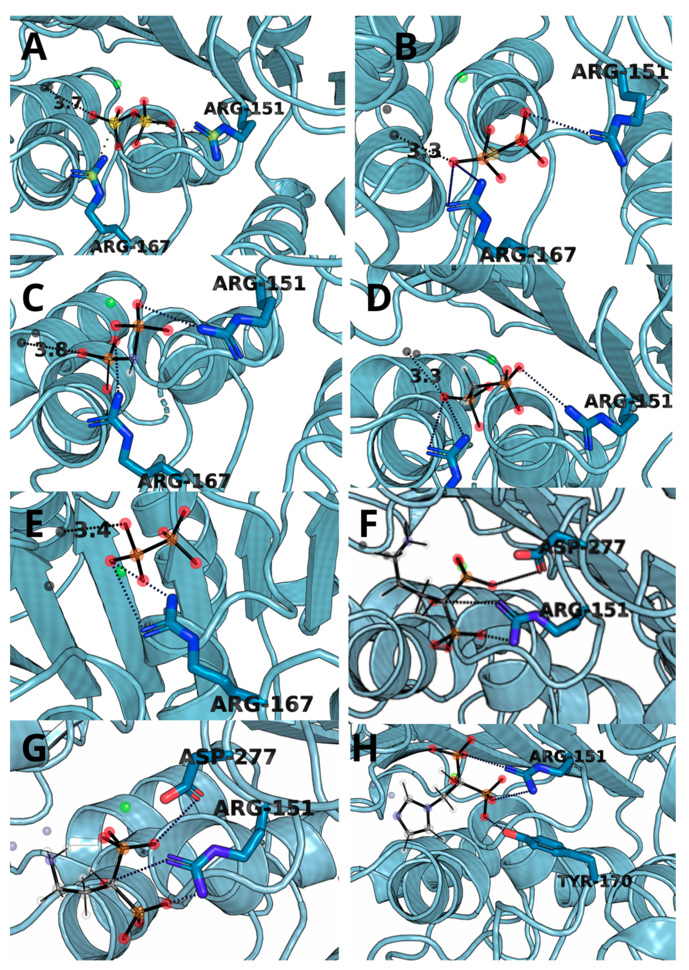 Biomolecules 11 01104 g003