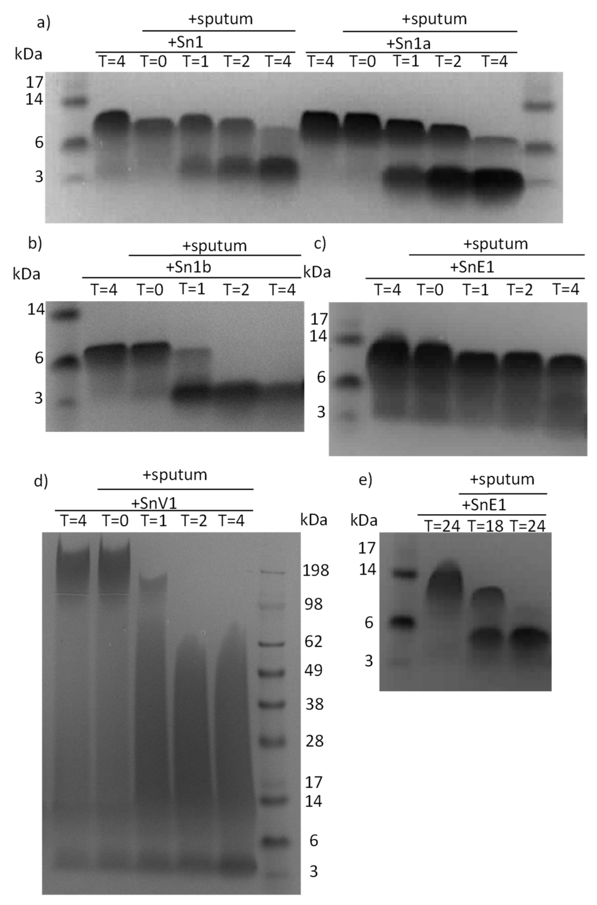 Biomolecules 11 01106 g001 Biomolecules 11 01106 g001