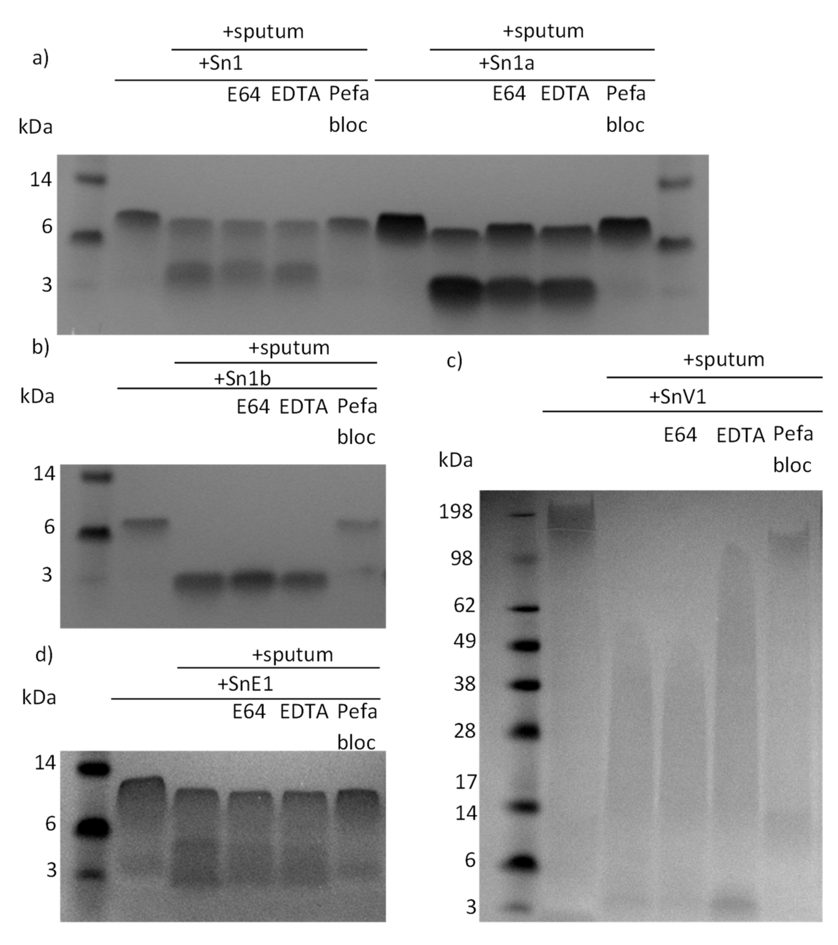 Biomolecules 11 01106 g002a Biomolecules 11 01106 g002a