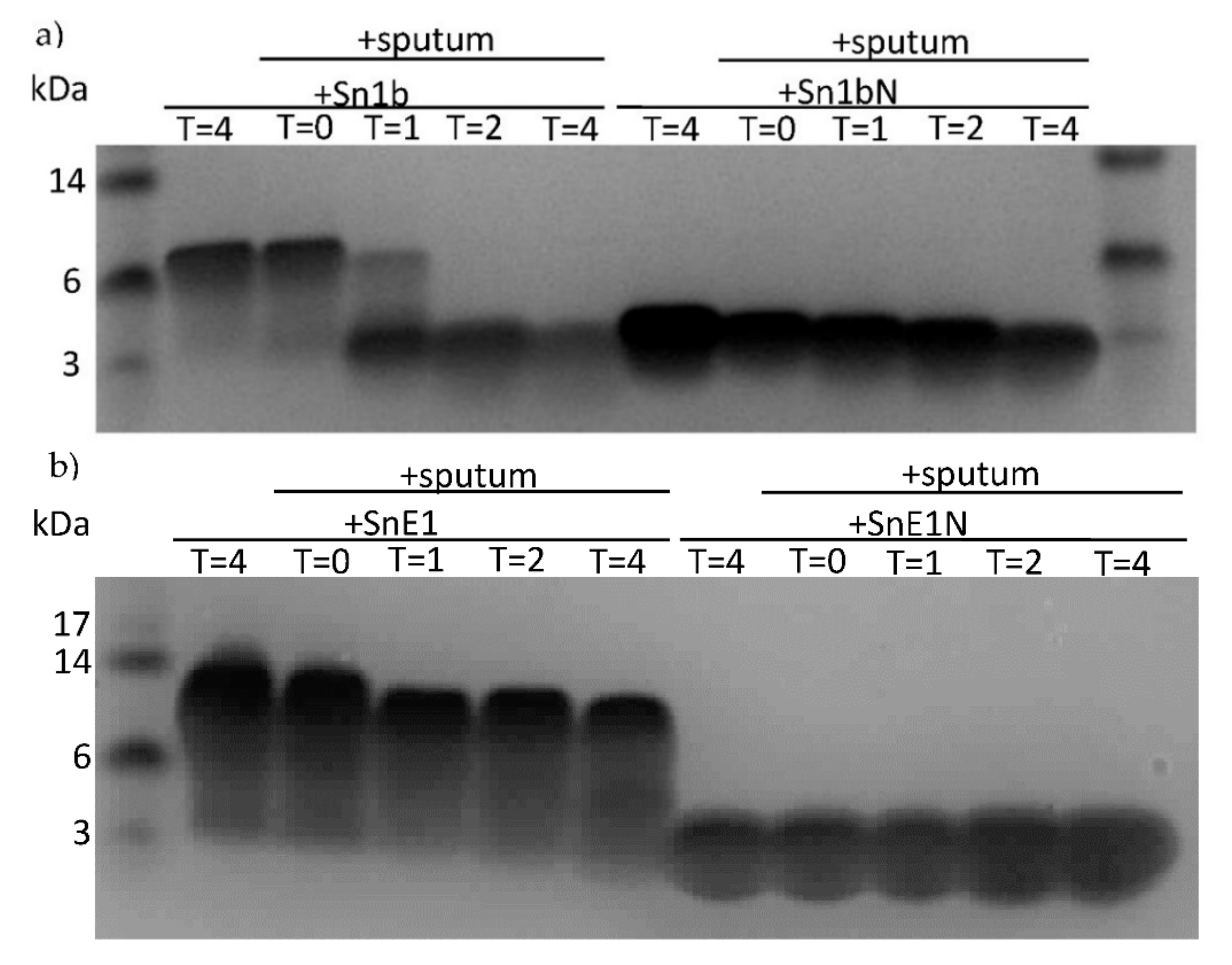 Biomolecules 11 01106 g006a Biomolecules 11 01106 g006a