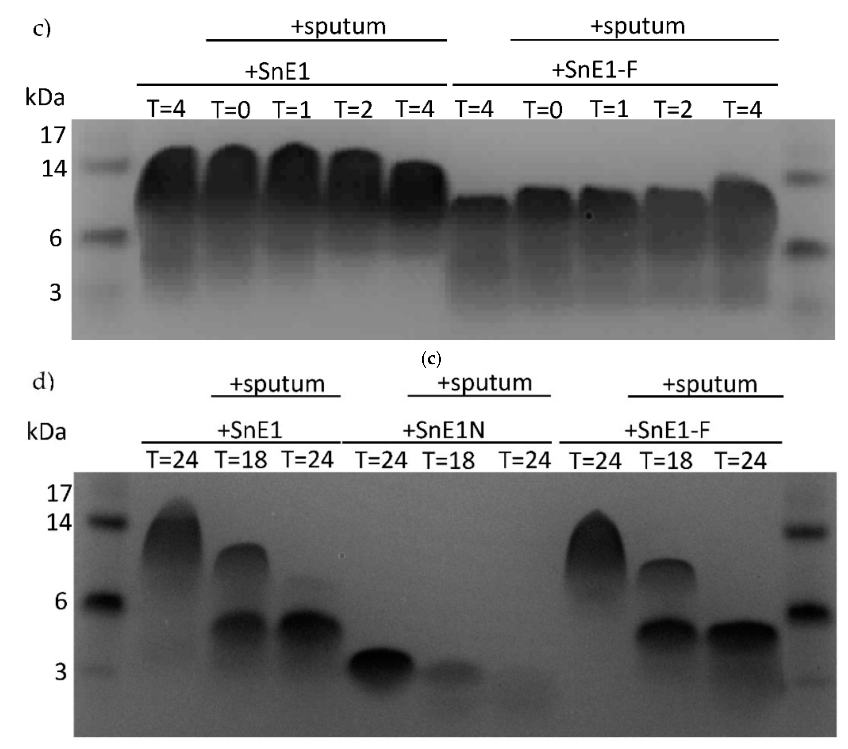 Biomolecules 11 01106 g006b Biomolecules 11 01106 g006b