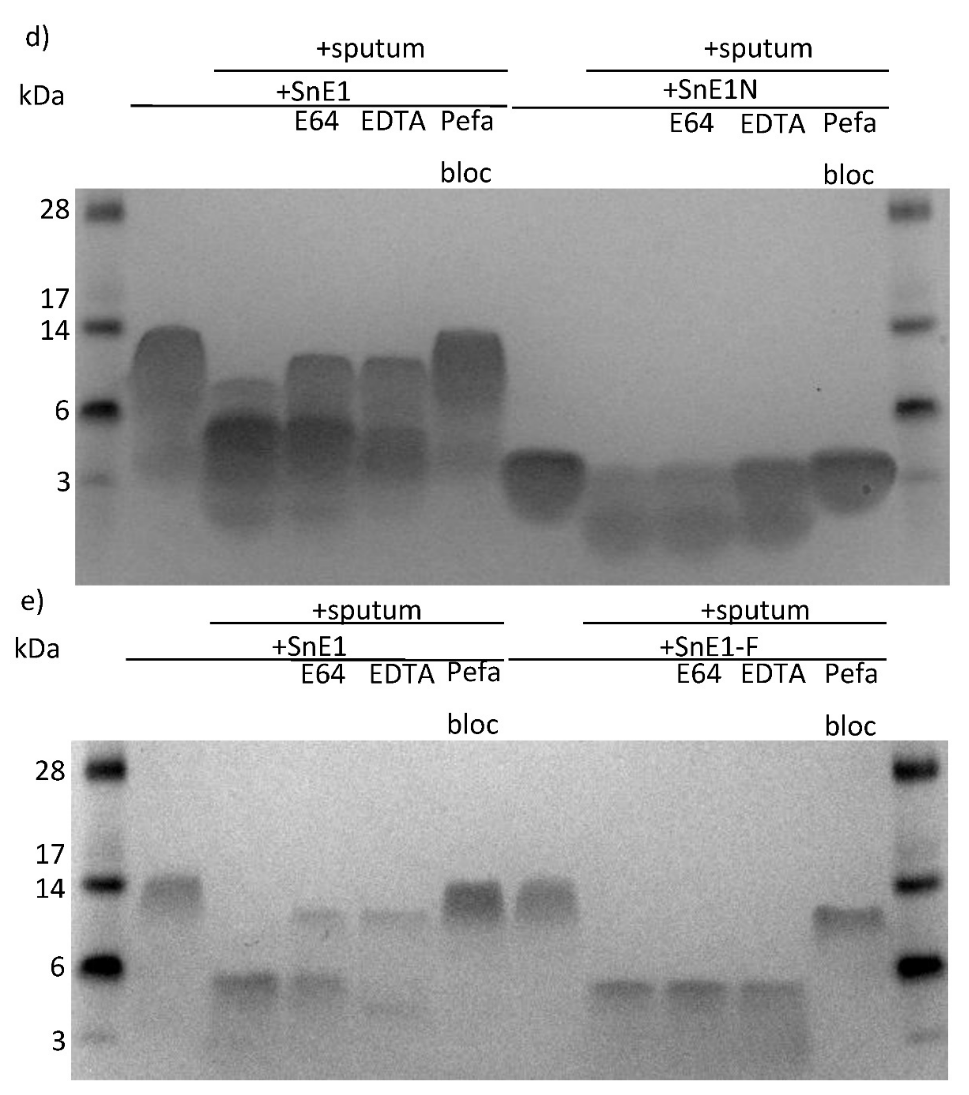 Biomolecules 11 01106 g007b Biomolecules 11 01106 g007b