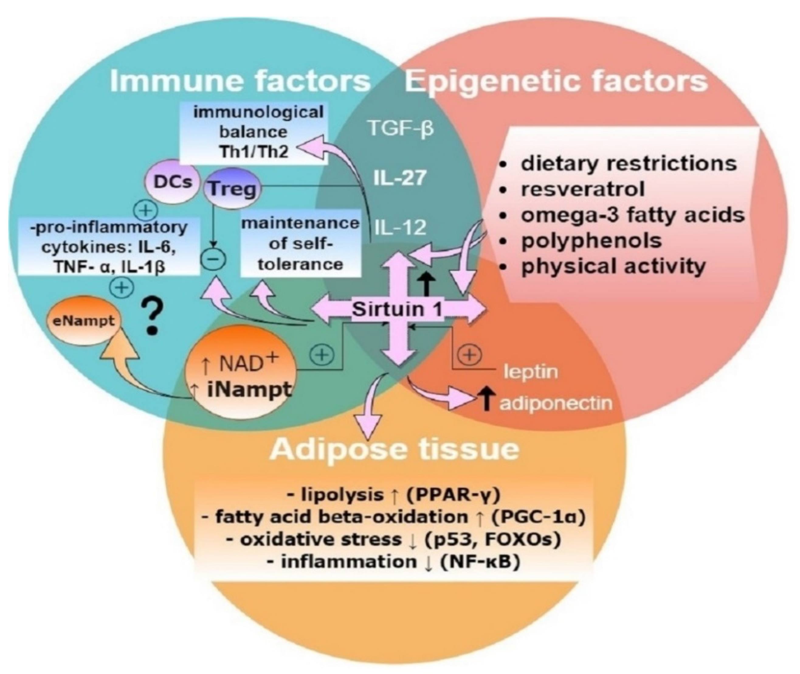 Biomolecules 11 01110 g001
