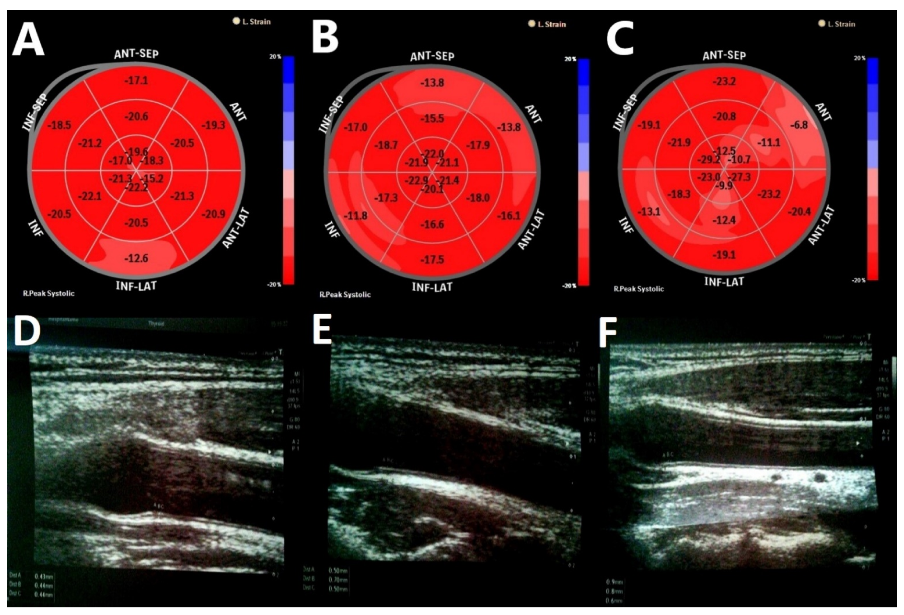 Biomolecules 11 01110 g002