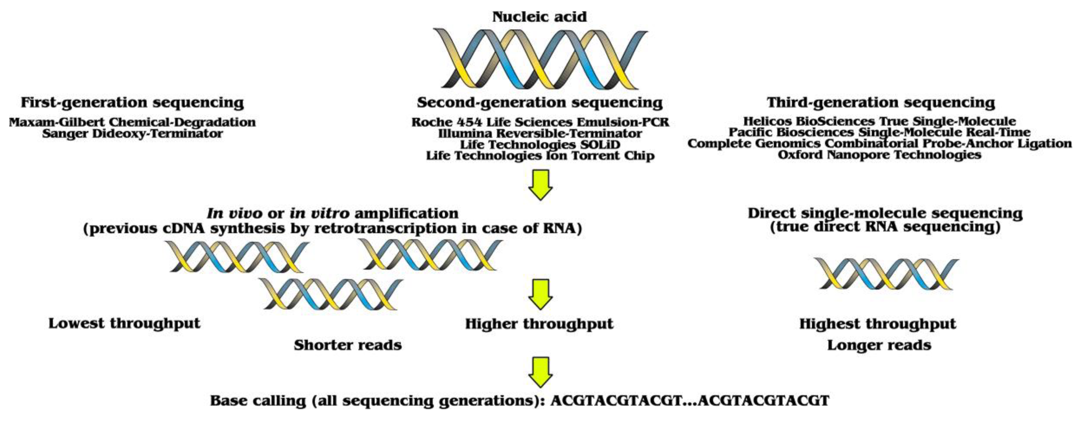 Biomolecules 11 01111 g001