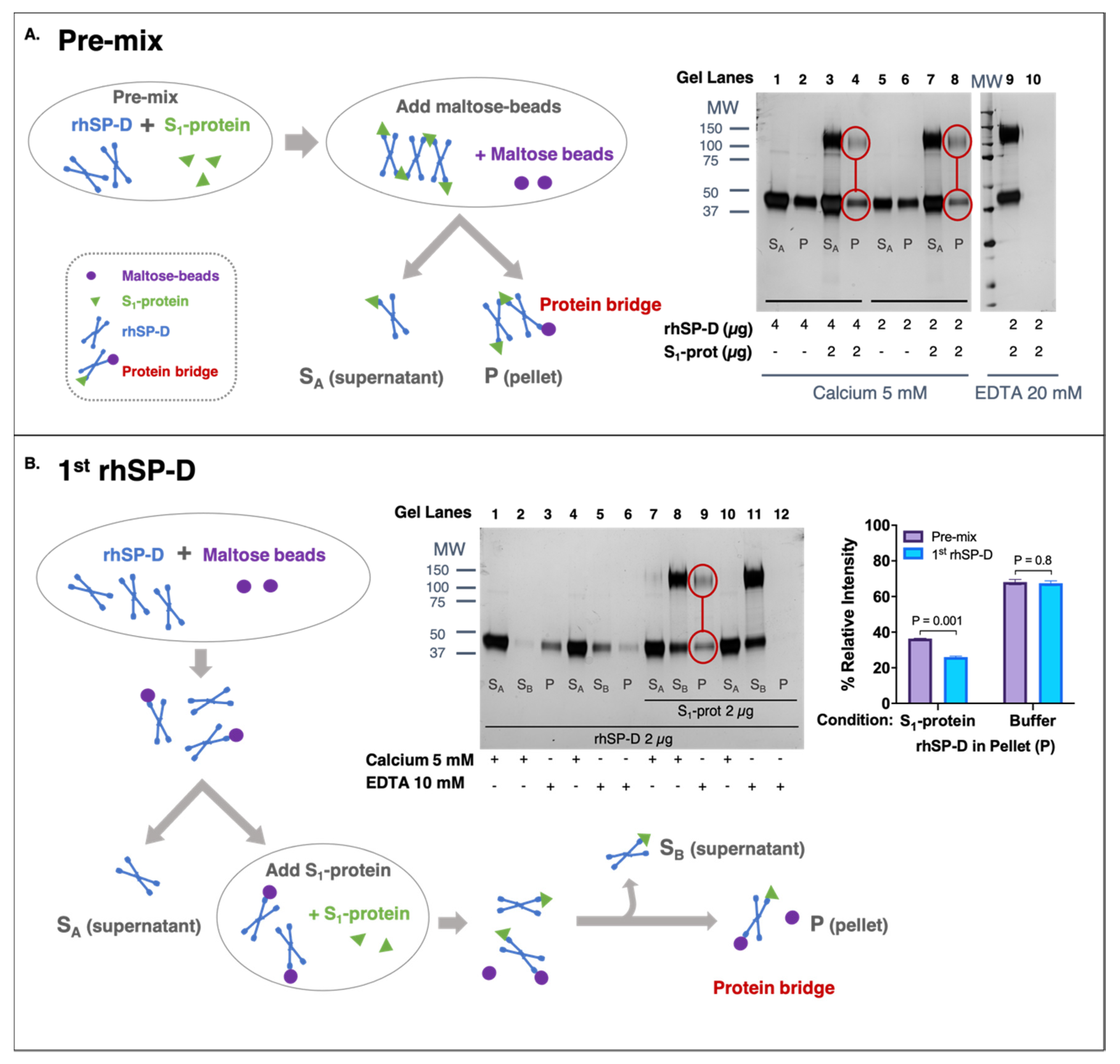 Biomolecules 11 01114 g002