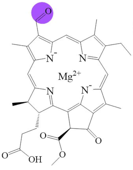Biomolecules 11 01115 i009