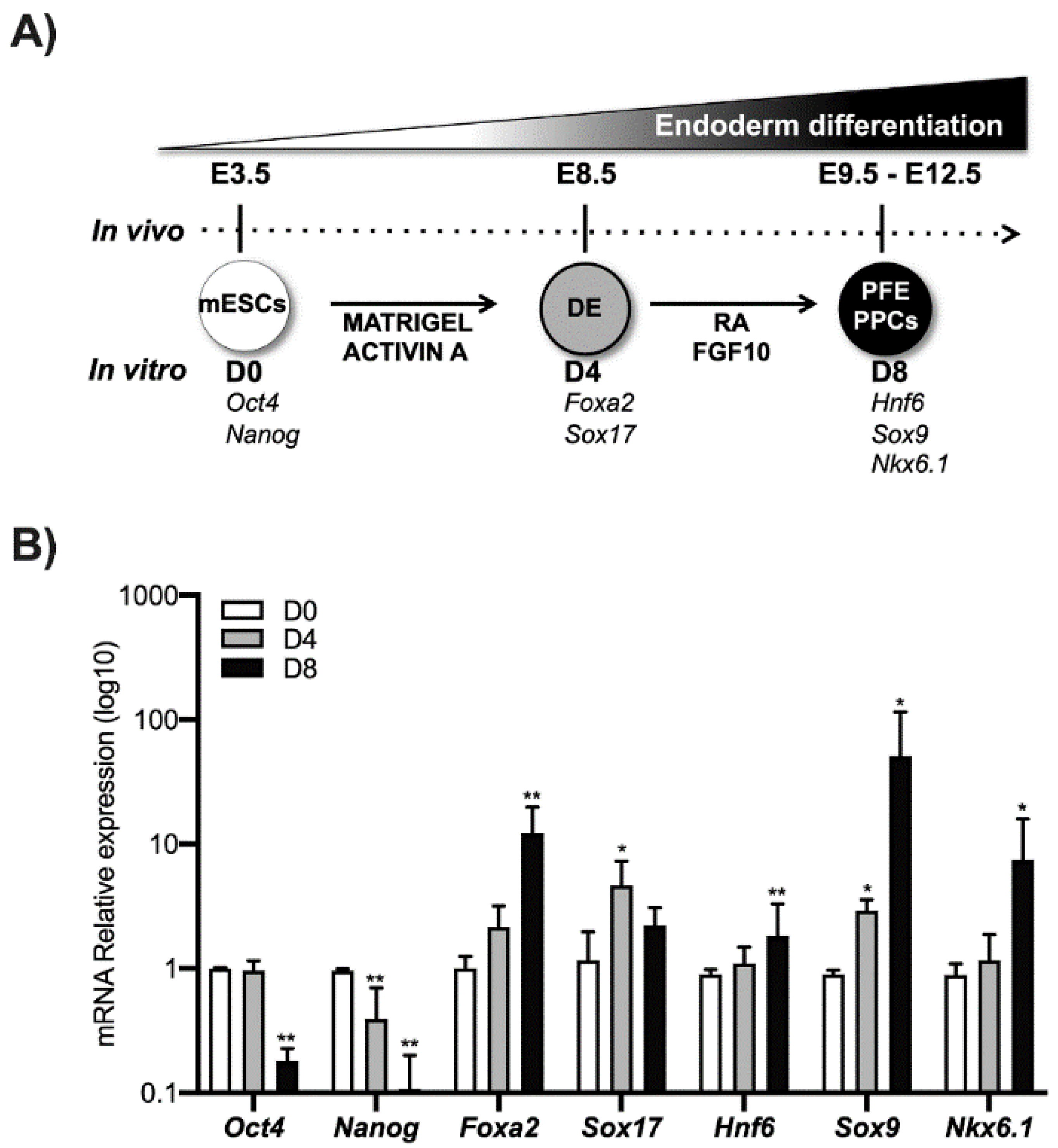 Biomolecules 11 01124 g001