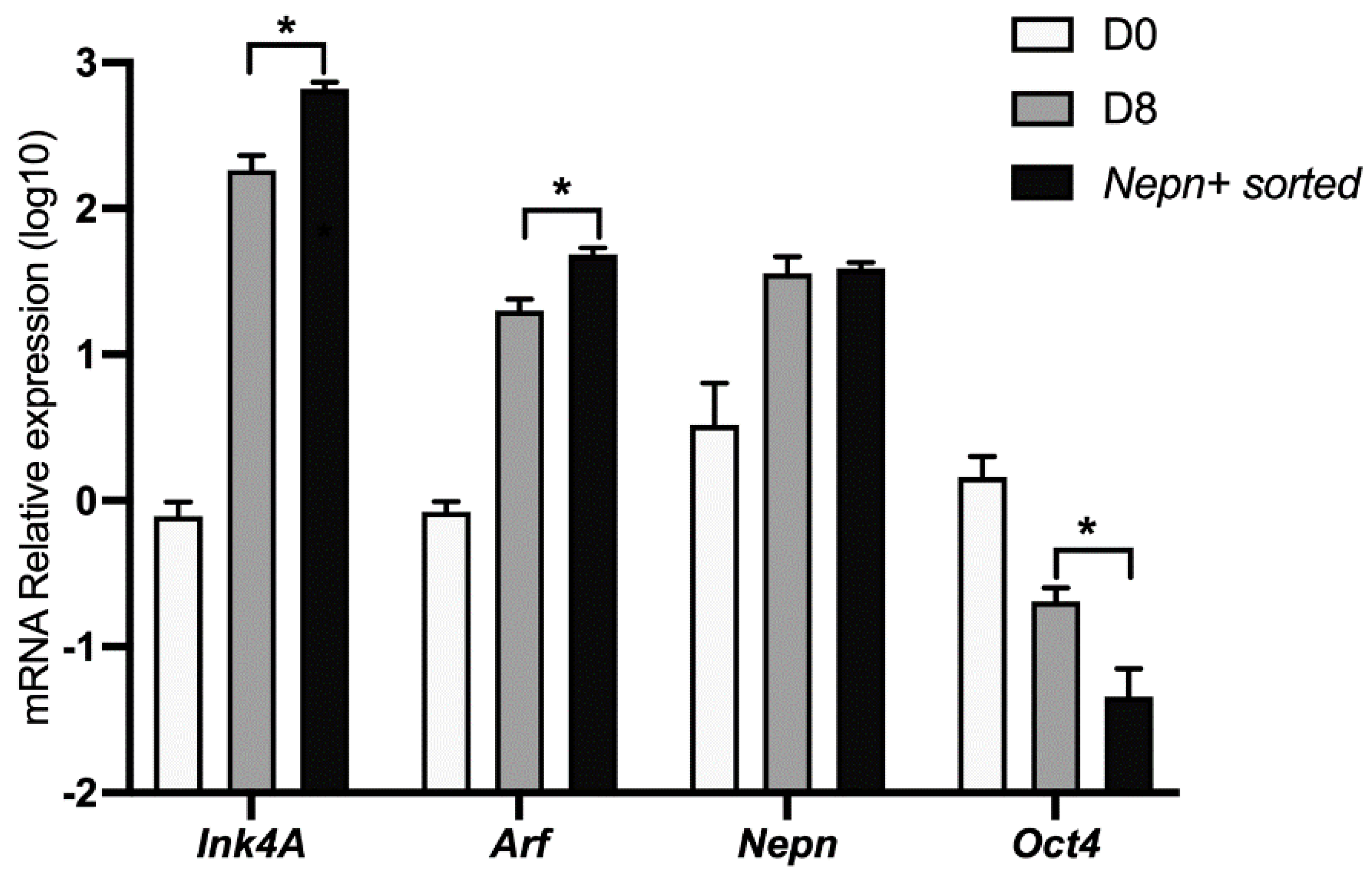 Biomolecules 11 01124 g003