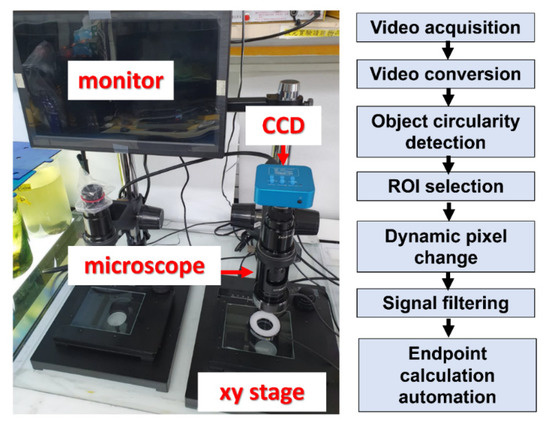Biomolecules 11 01133 g0a1 550
