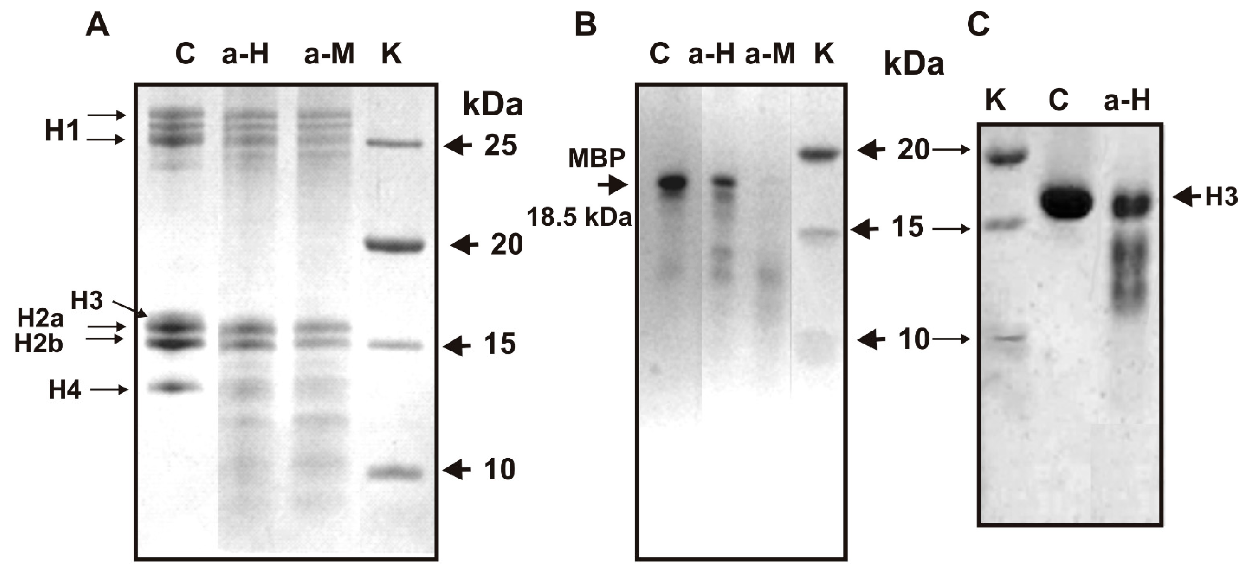 Biomolecules 11 01140 g001