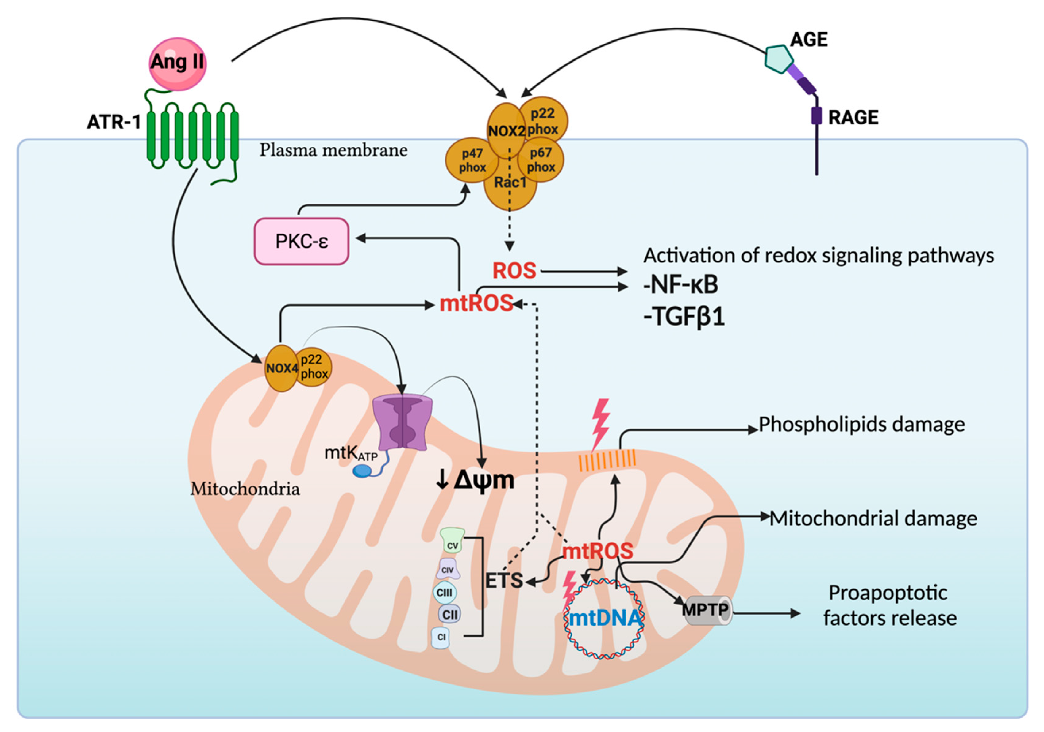 Biomolecules 11 01144 g002