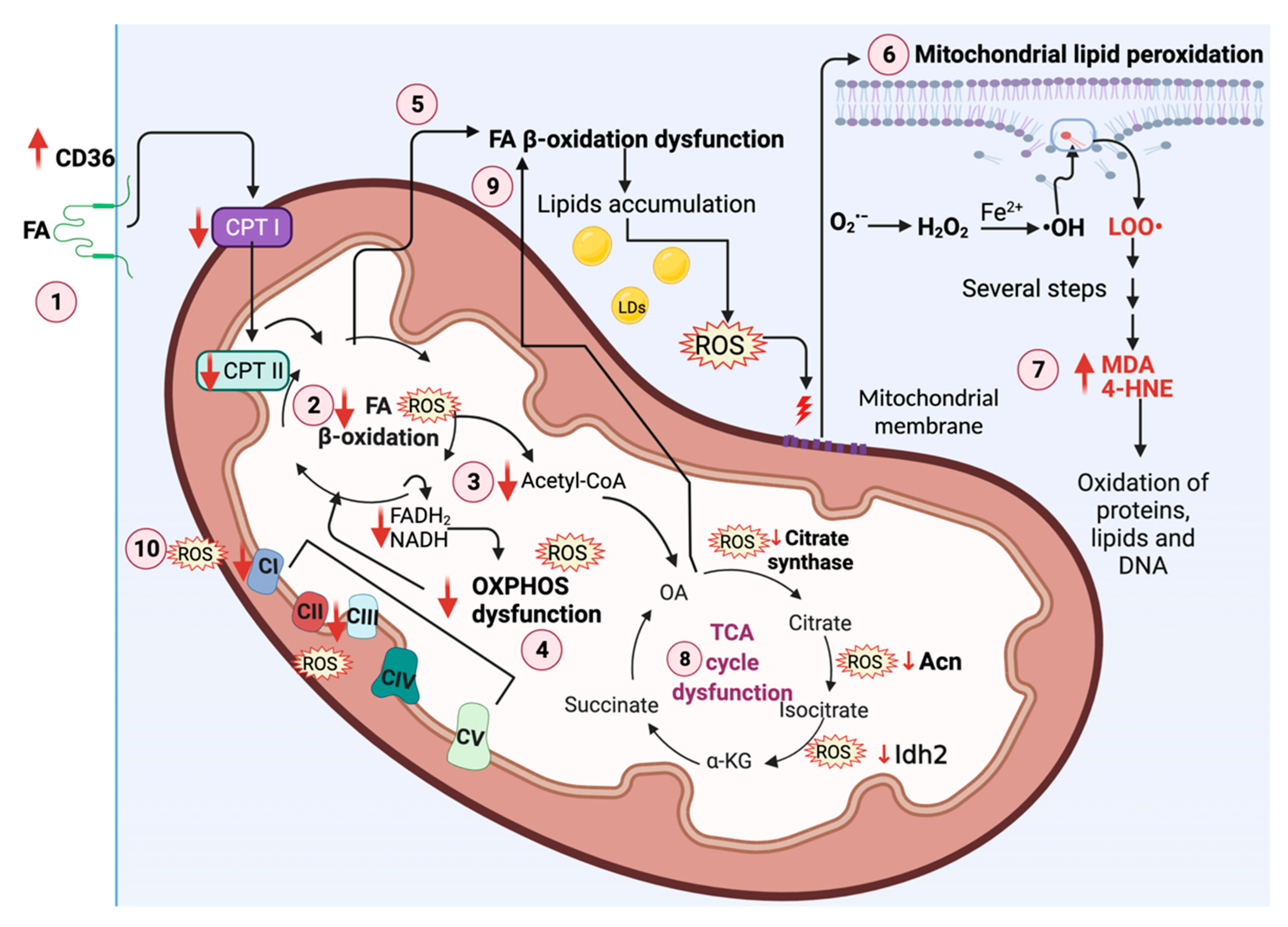 Biomolecules 11 01144 g004