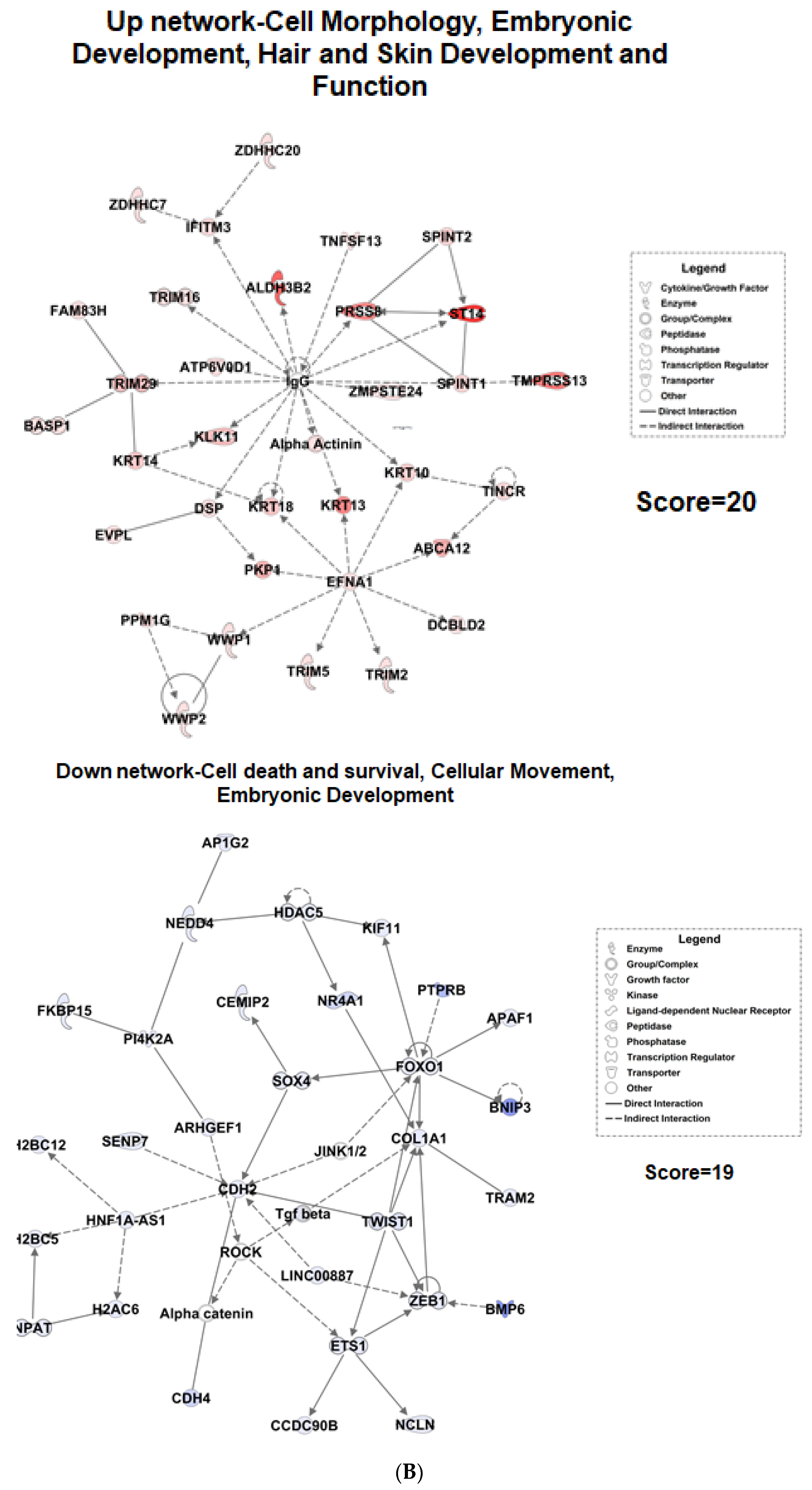 Biomolecules 11 01148 g002b