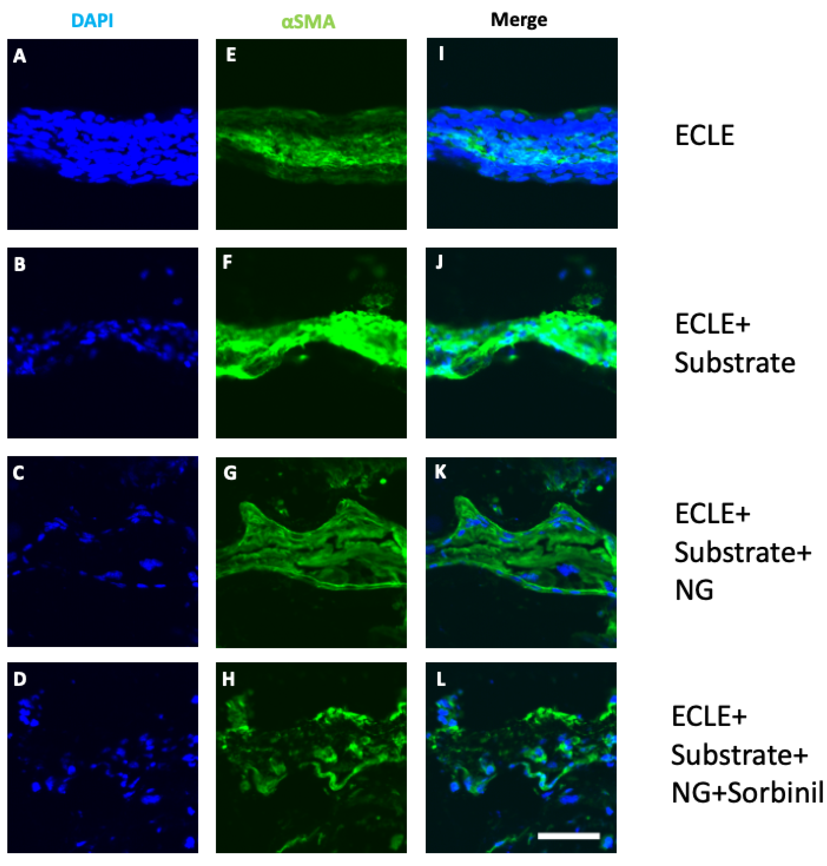 Biomolecules 11 01150 g003