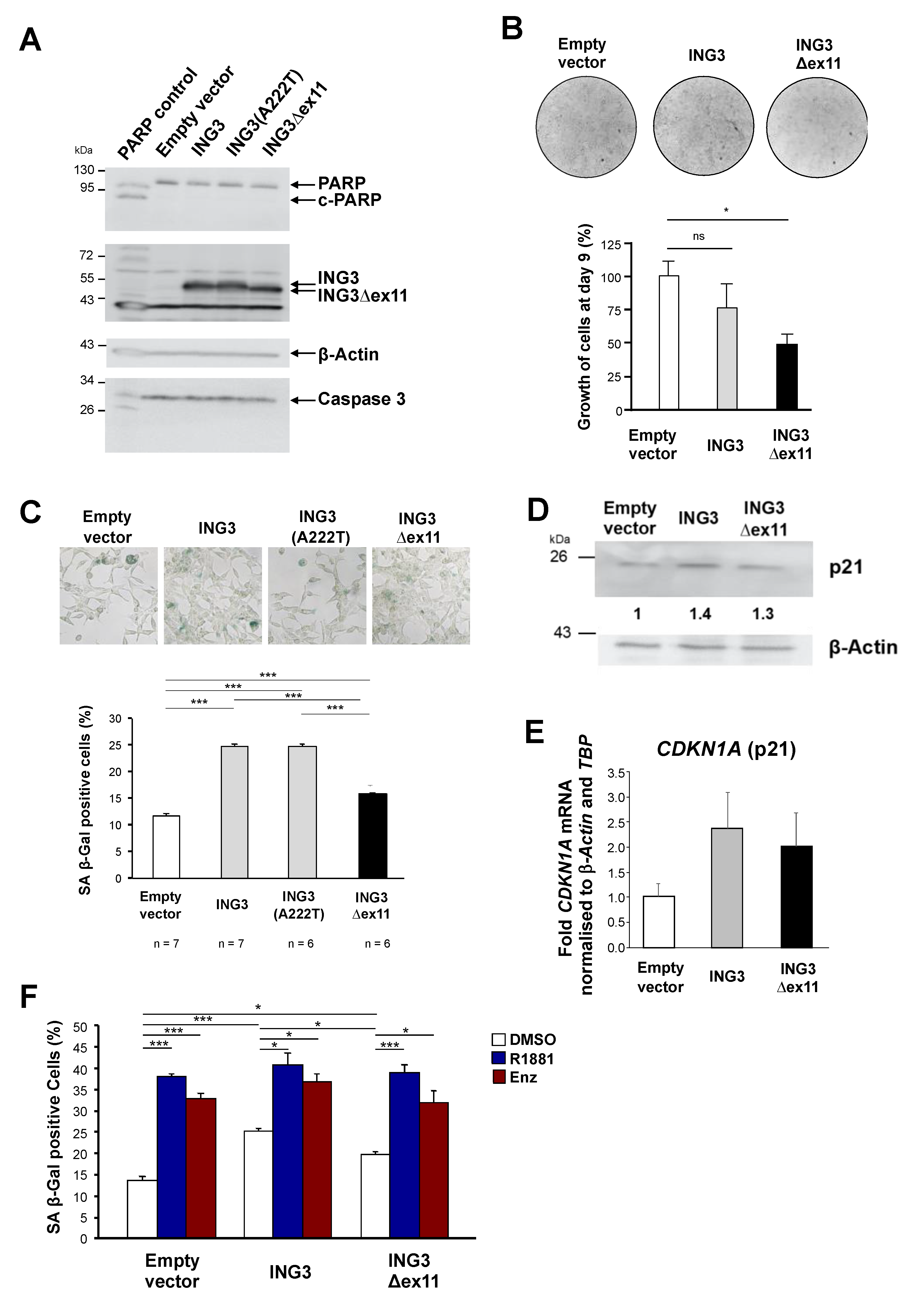 Biomolecules 11 01152 g002