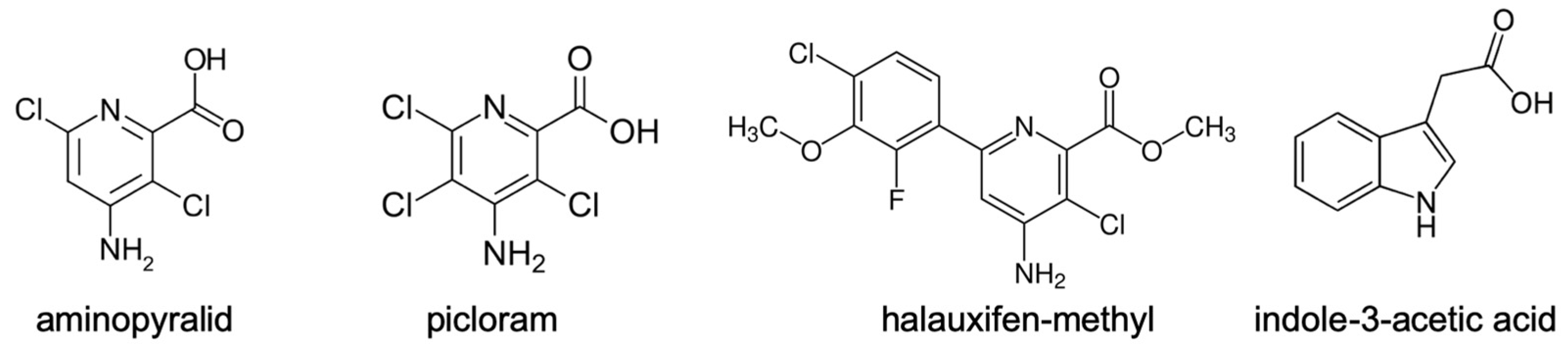 Biomolecules 11 01153 g002 Biomolecules 11 01153 g002