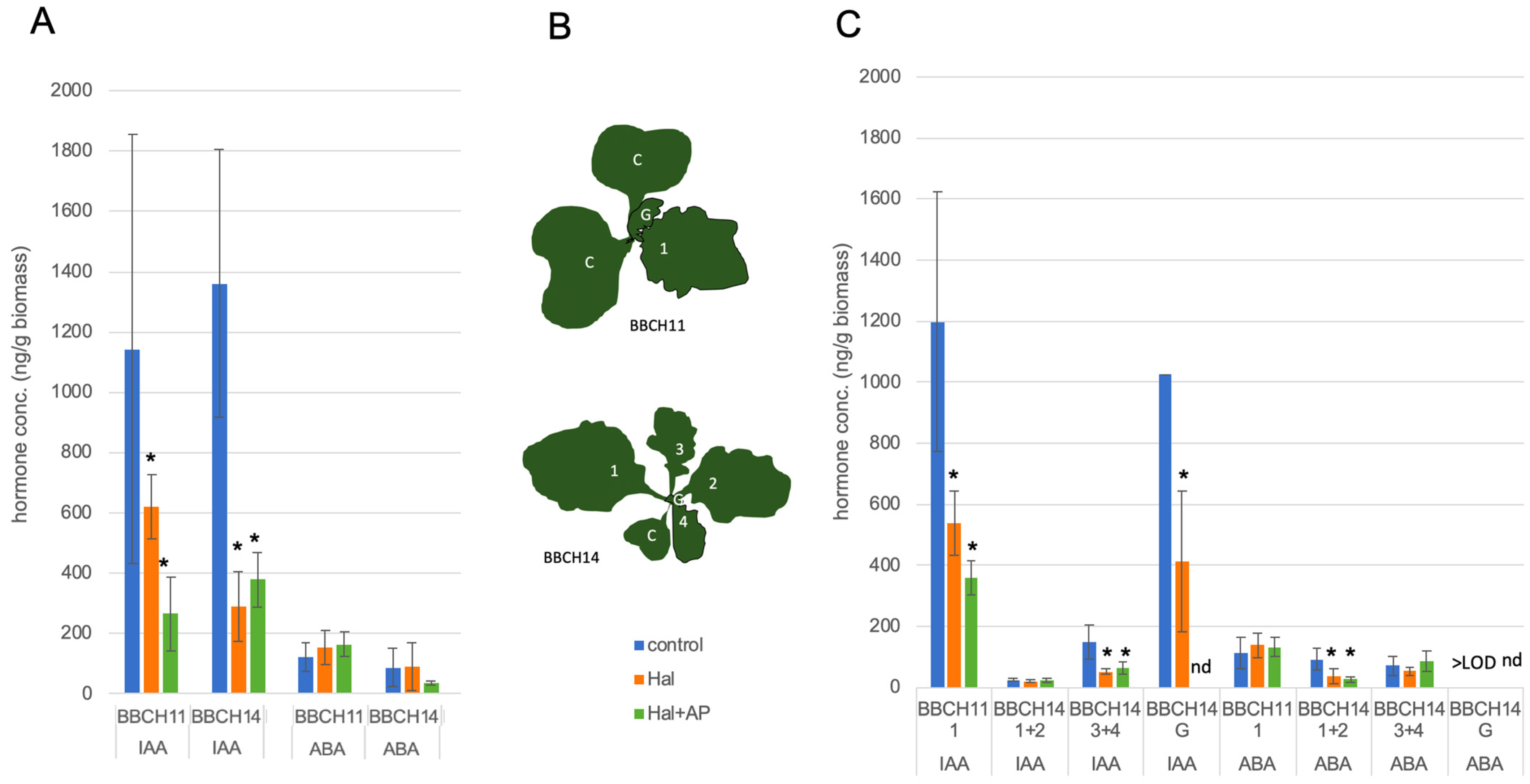 Biomolecules 11 01153 g004 Biomolecules 11 01153 g004