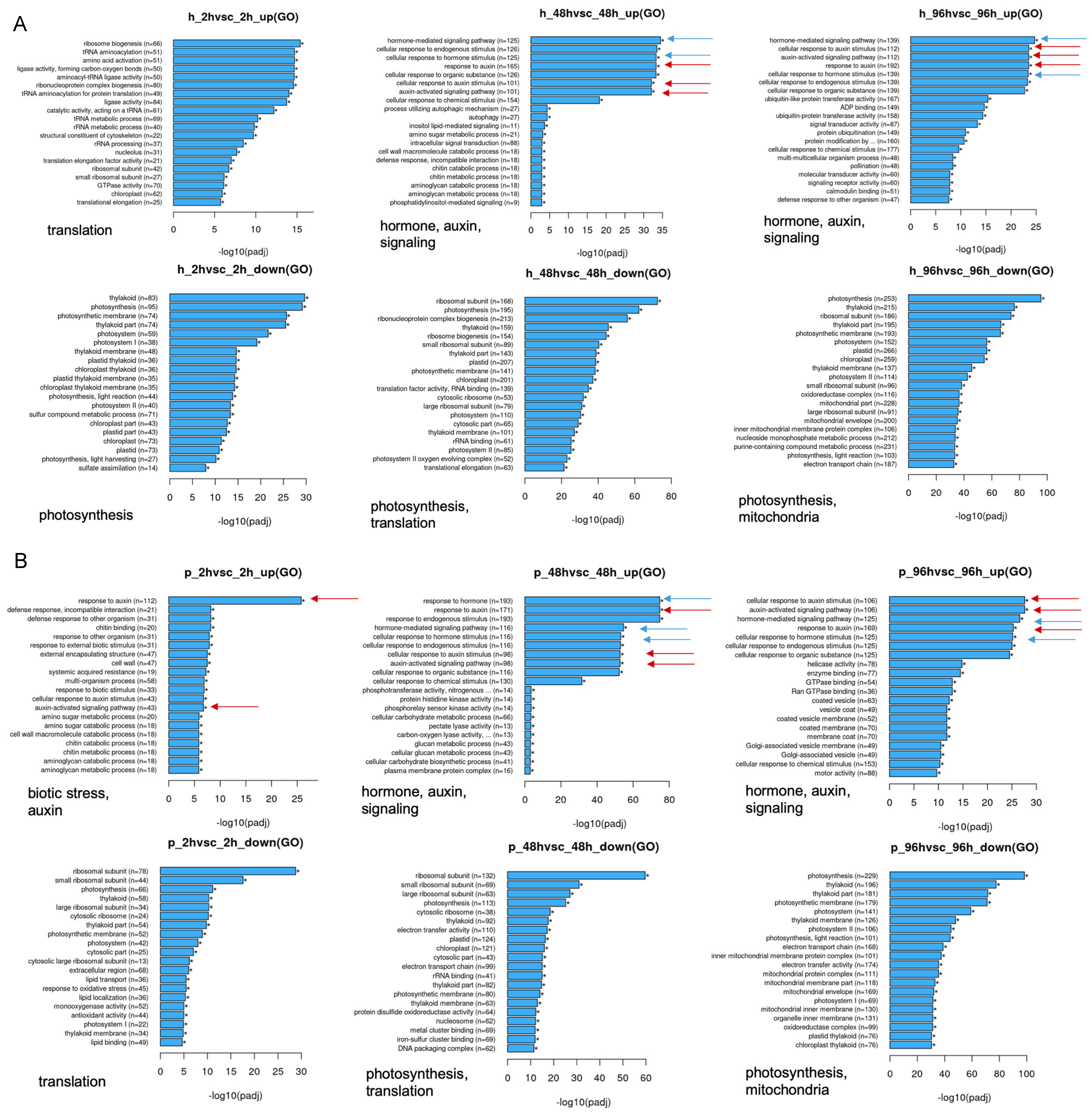 Biomolecules 11 01153 g007 Biomolecules 11 01153 g007