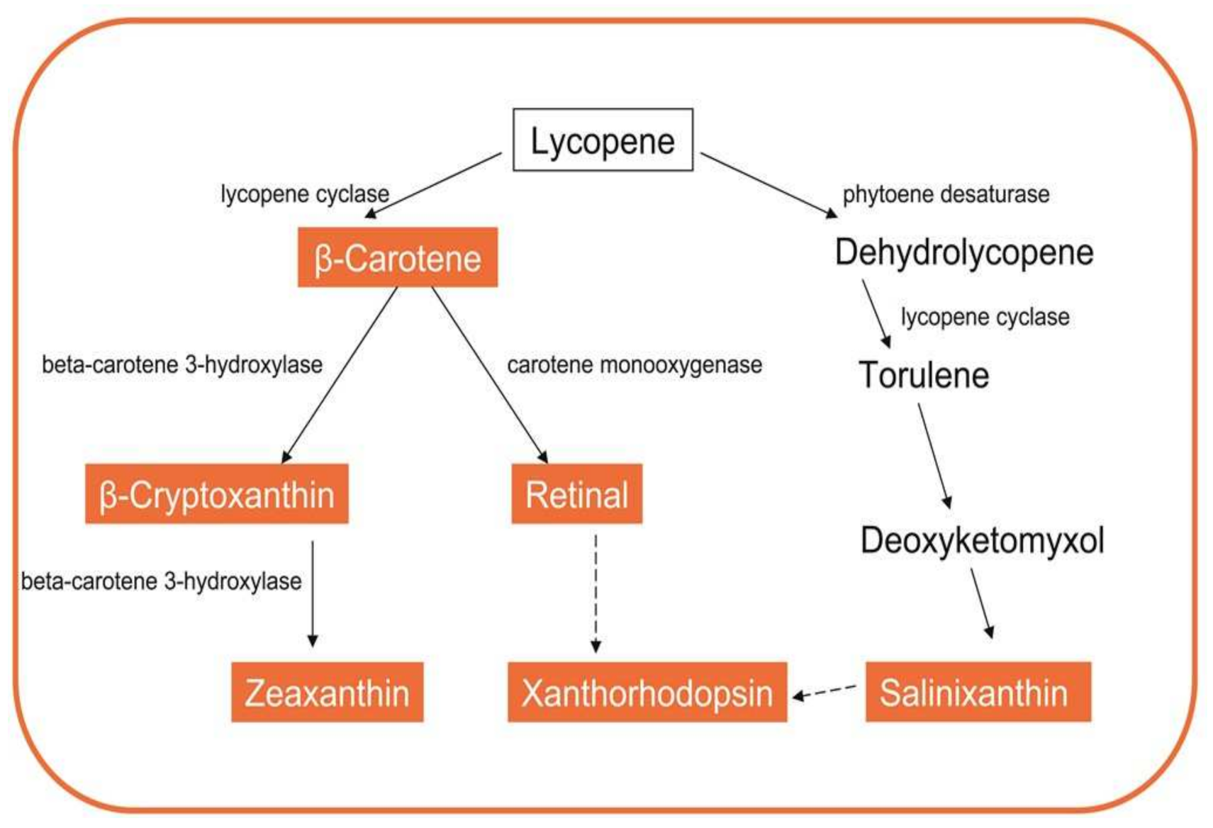 Biomolecules 11 01155 g002 Biomolecules 11 01155 g002