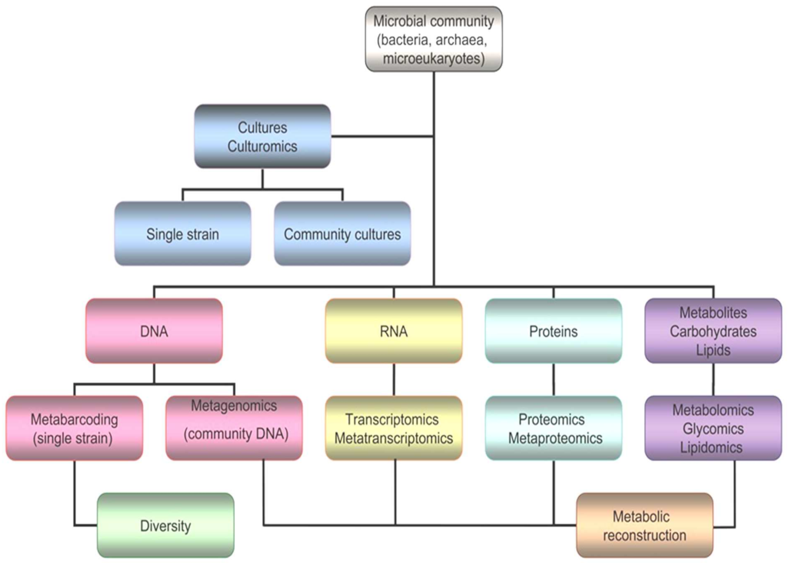 Biomolecules 11 01155 g005 Biomolecules 11 01155 g005
