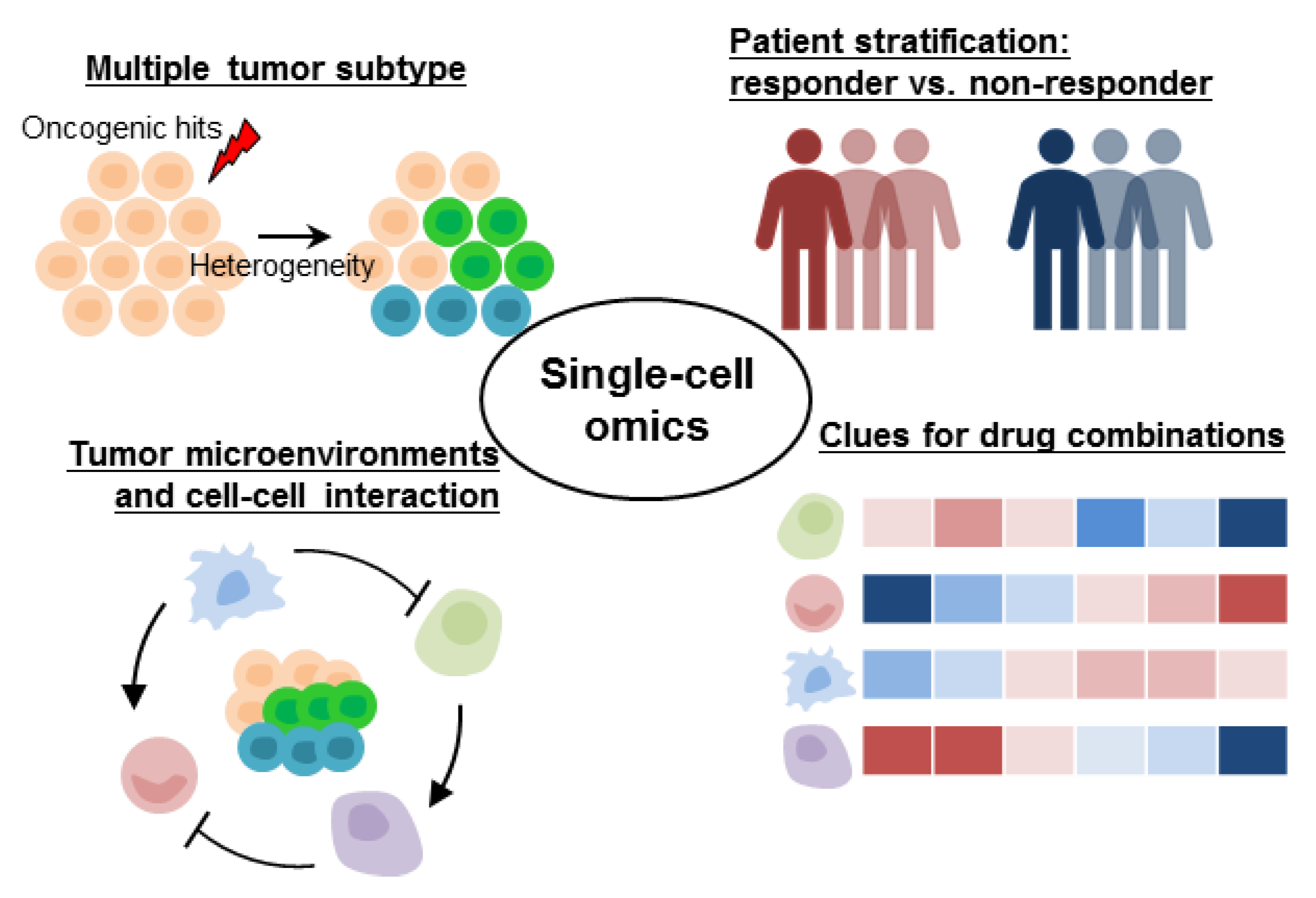 Biomolecules 11 01161 g002