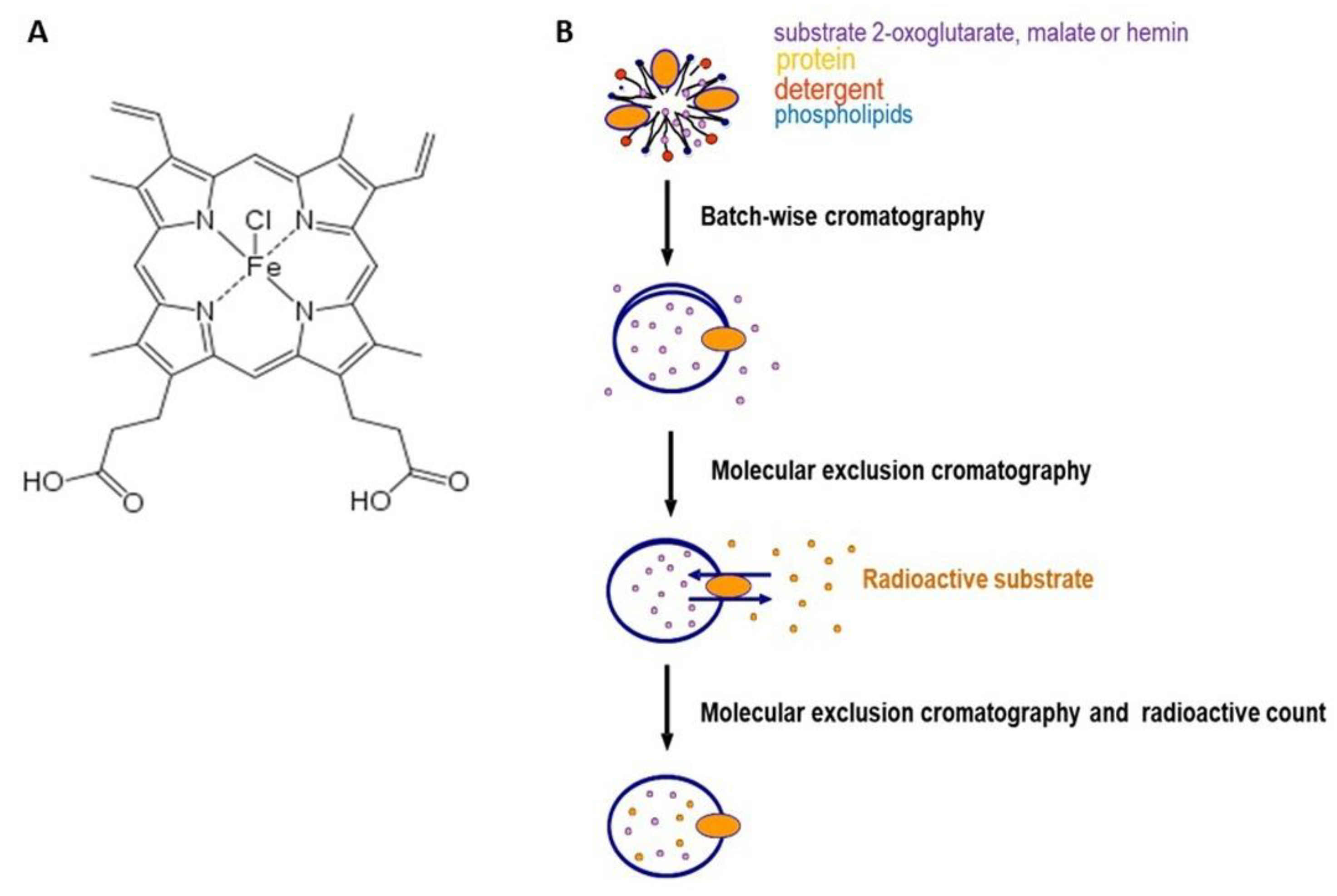 Biomolecules 11 01175 g001