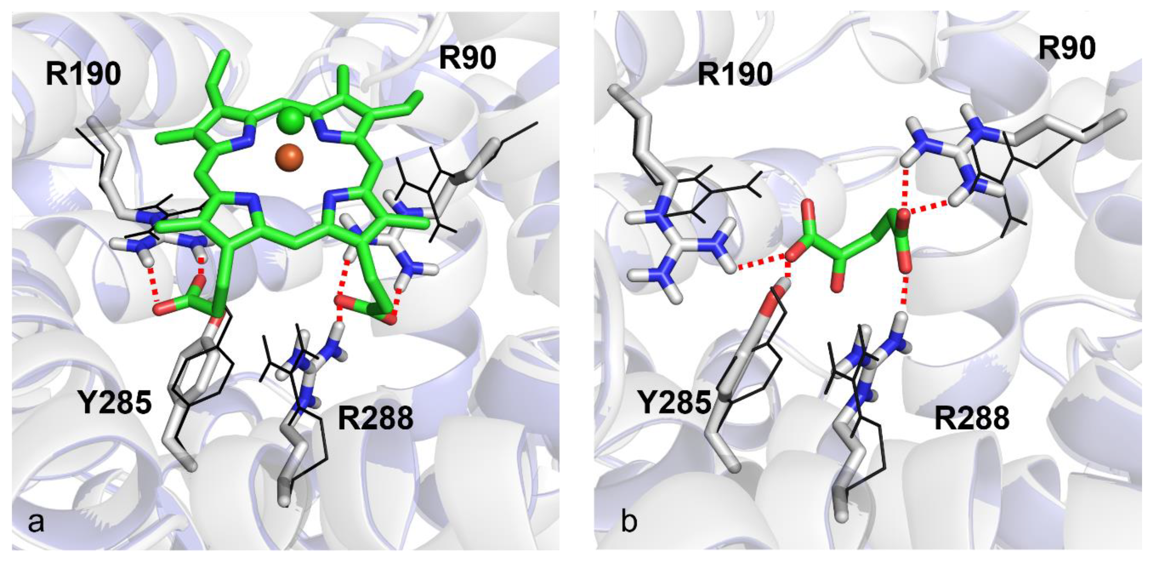 Biomolecules 11 01175 g008