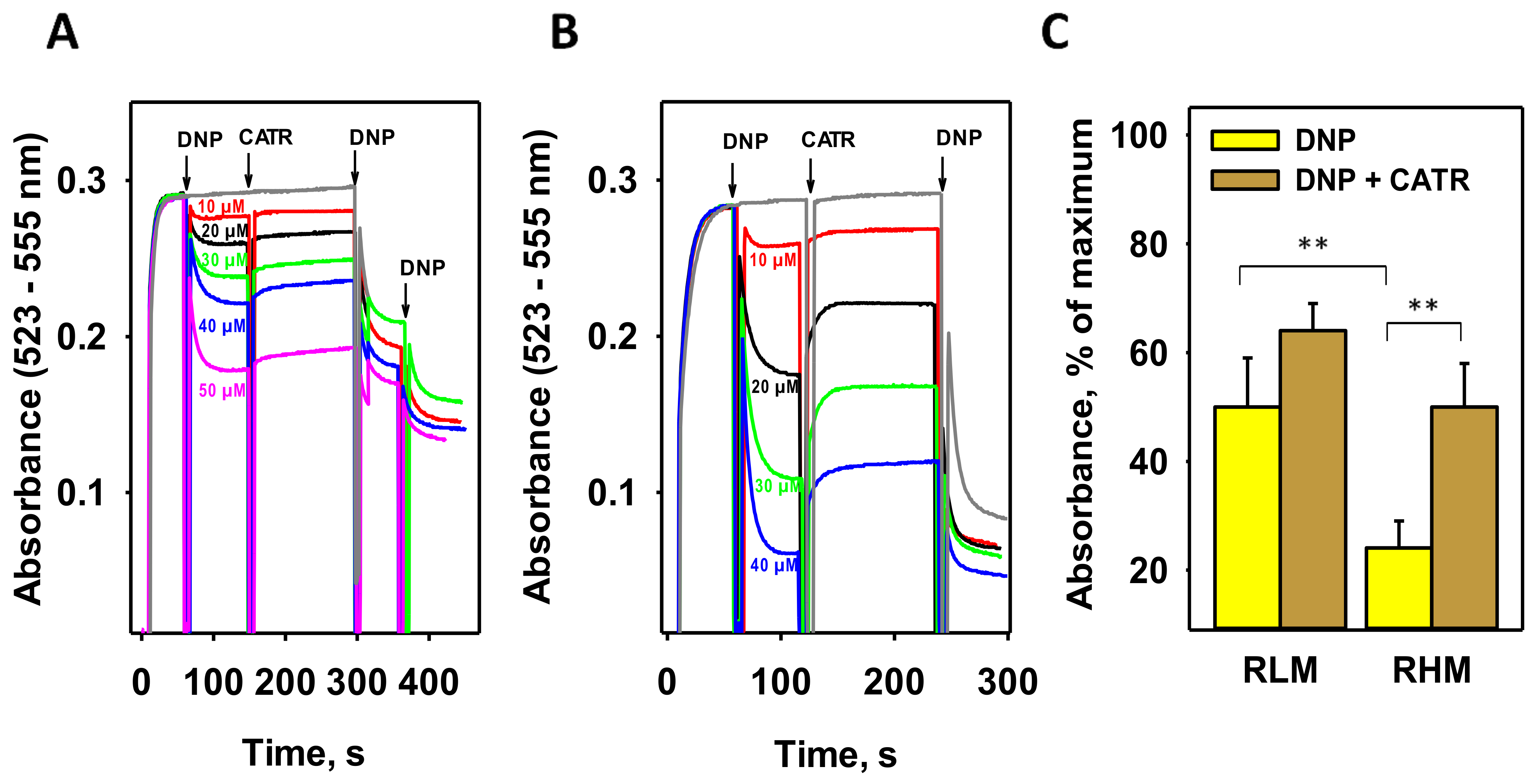 Biomolecules 11 01178 g001