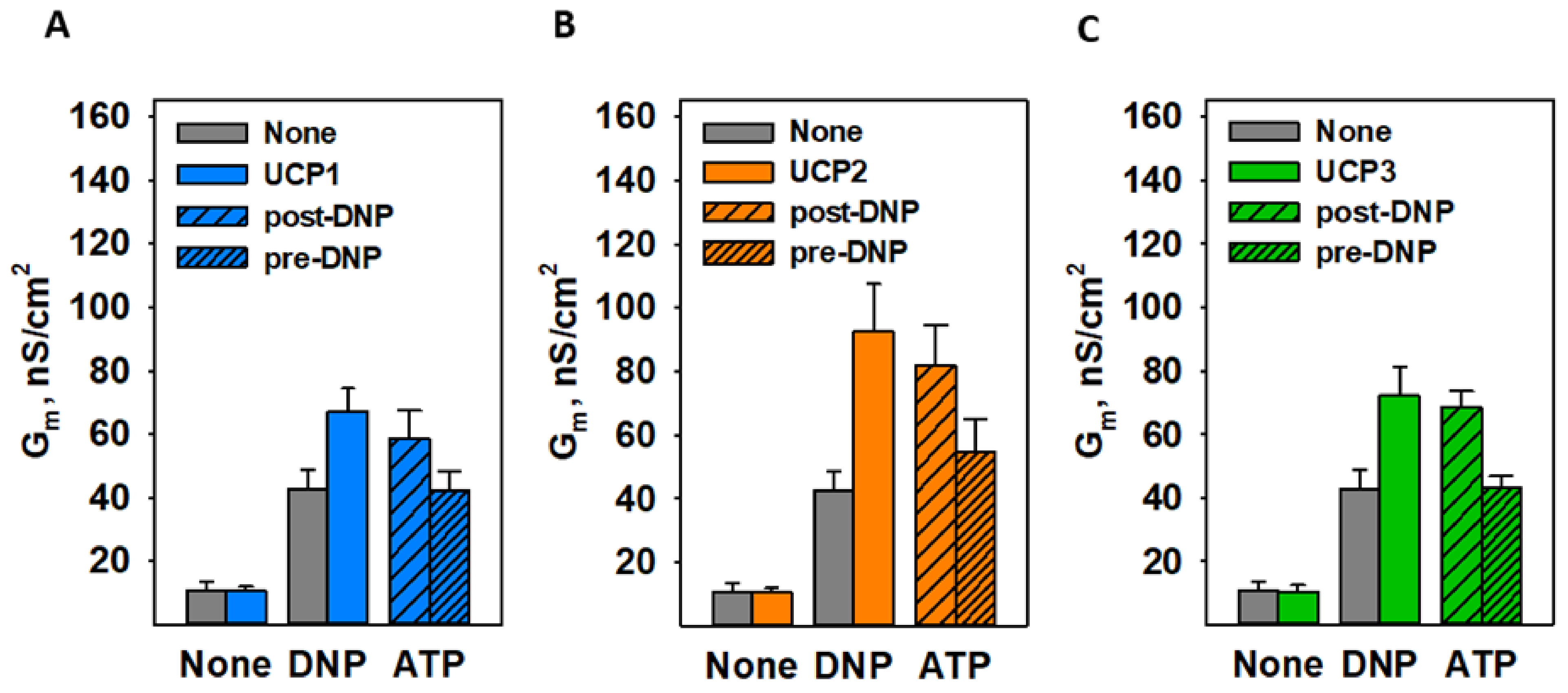 Biomolecules 11 01178 g004
