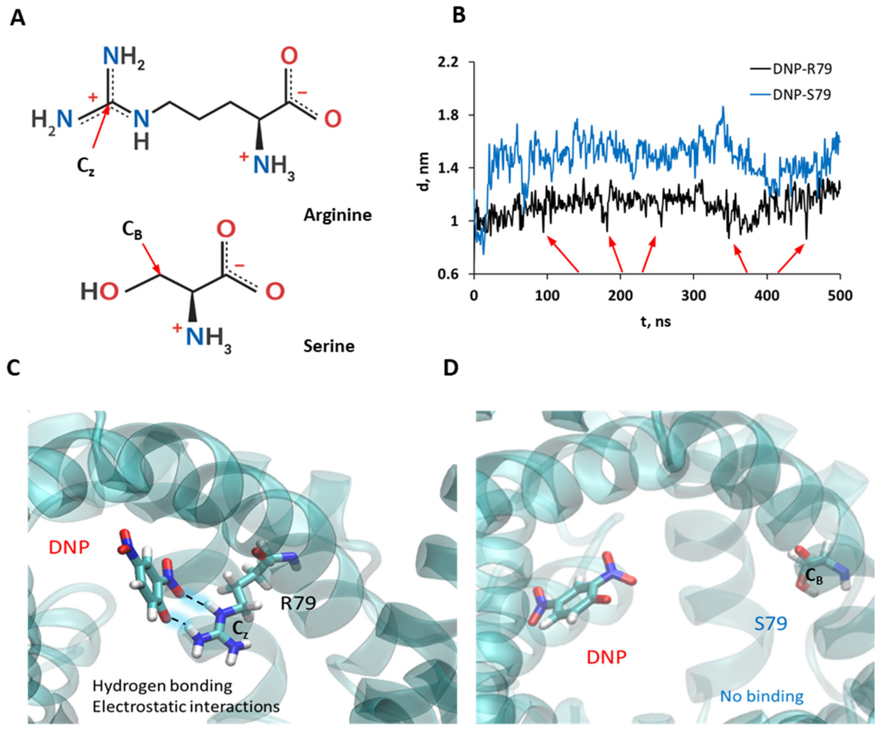 Biomolecules 11 01178 g006