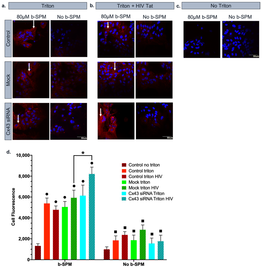 Biomolecules 11 01187 g003
