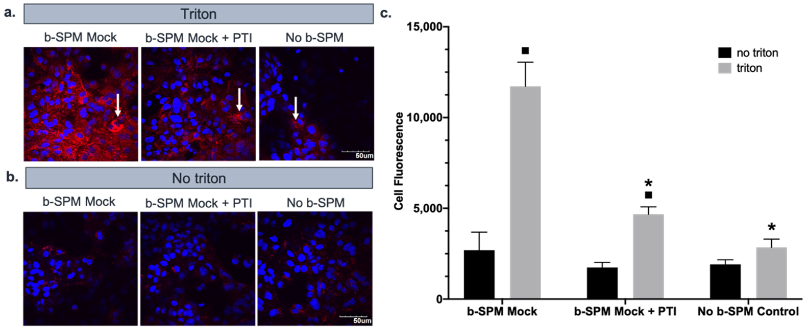 Biomolecules 11 01187 g004