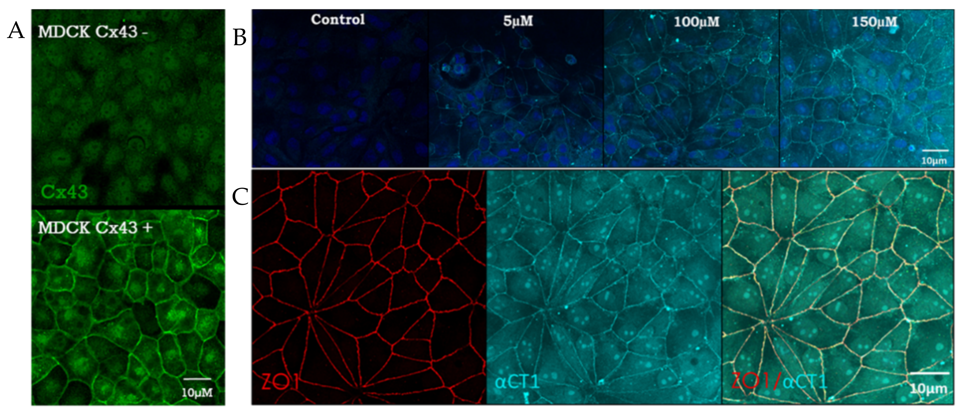 Biomolecules 11 01192 g001