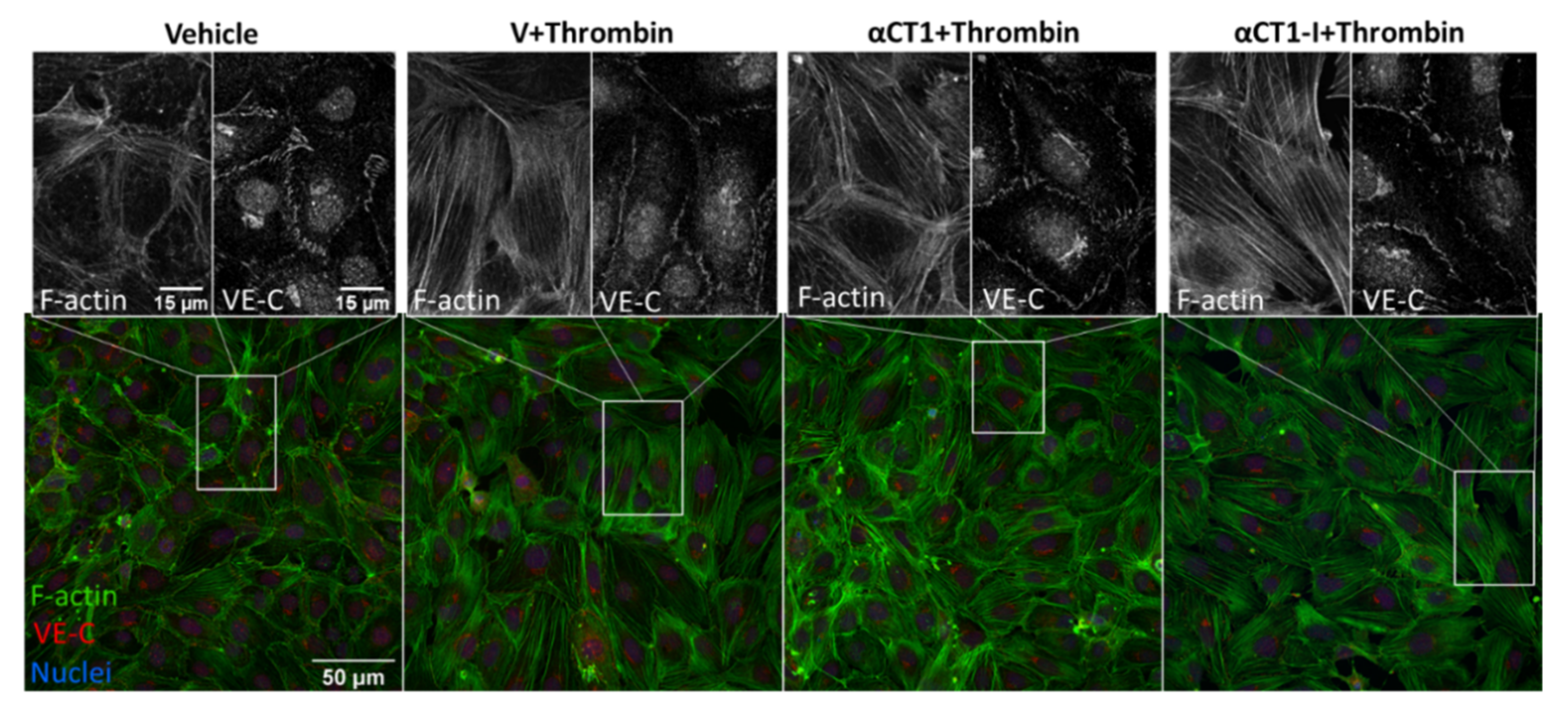 Biomolecules 11 01192 g005