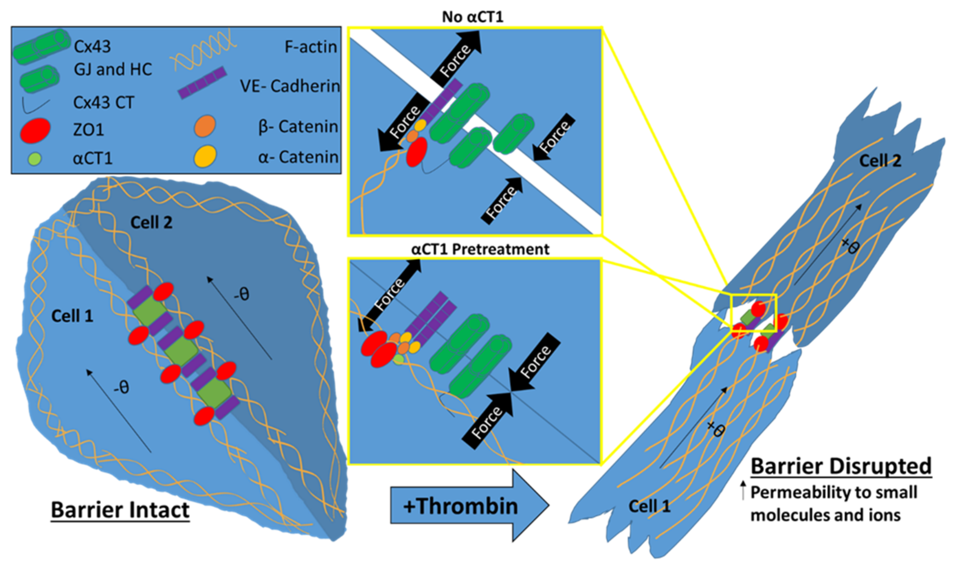 Biomolecules 11 01192 g011