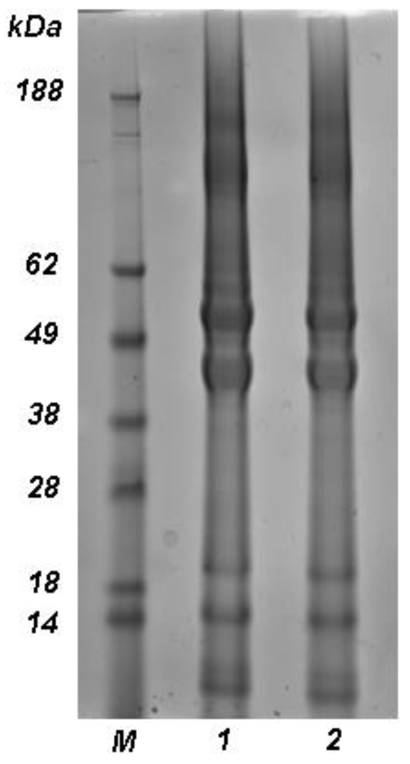 Biomolecules 11 01194 g001