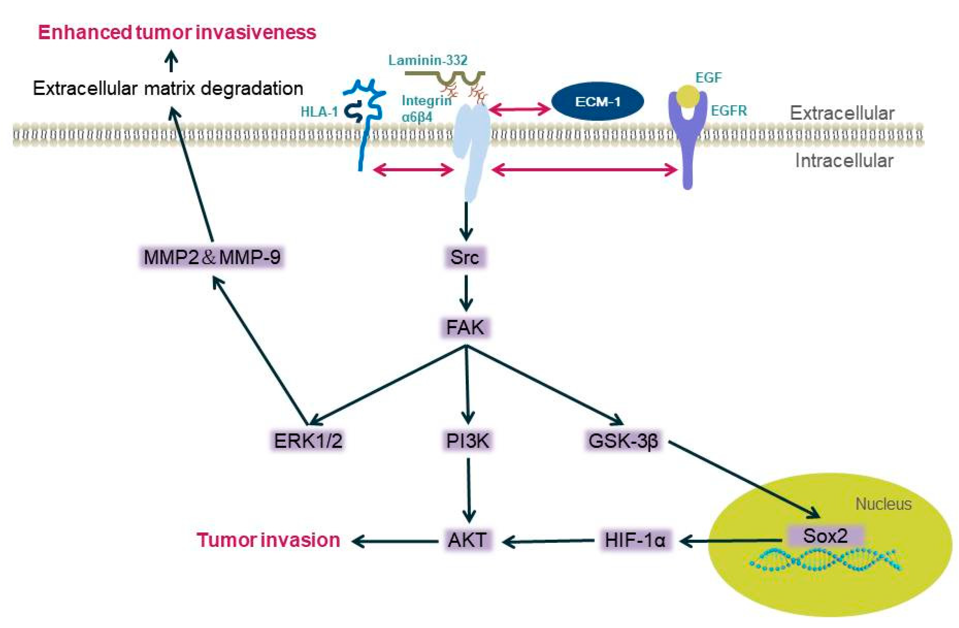 Biomolecules 11 01197 g001