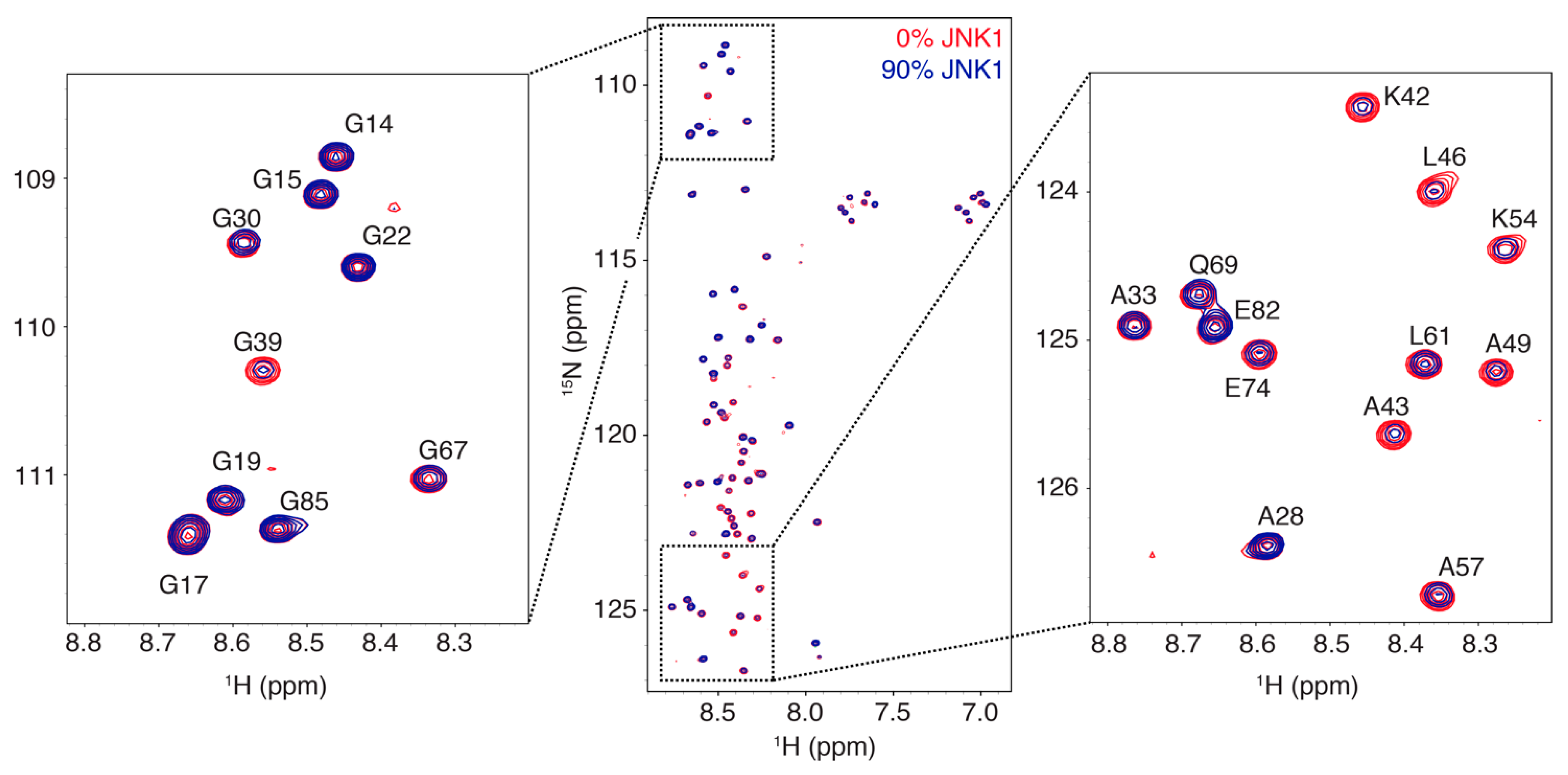 Biomolecules 11 01204 g001