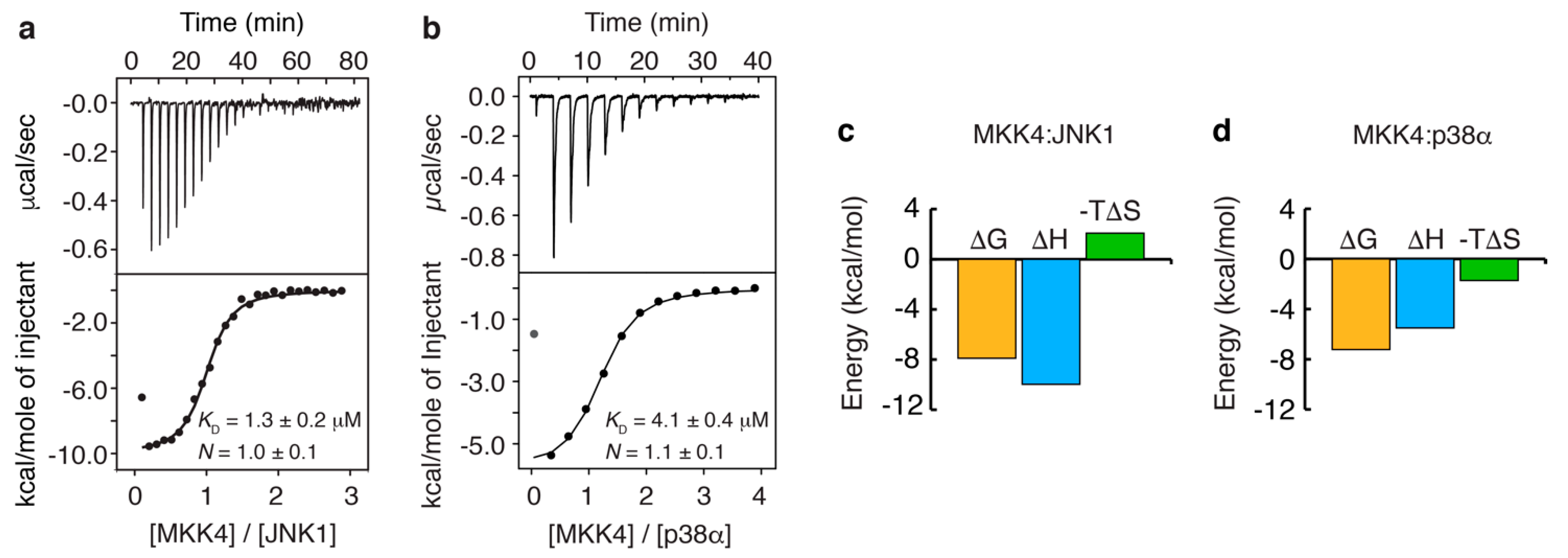 Biomolecules 11 01204 g004