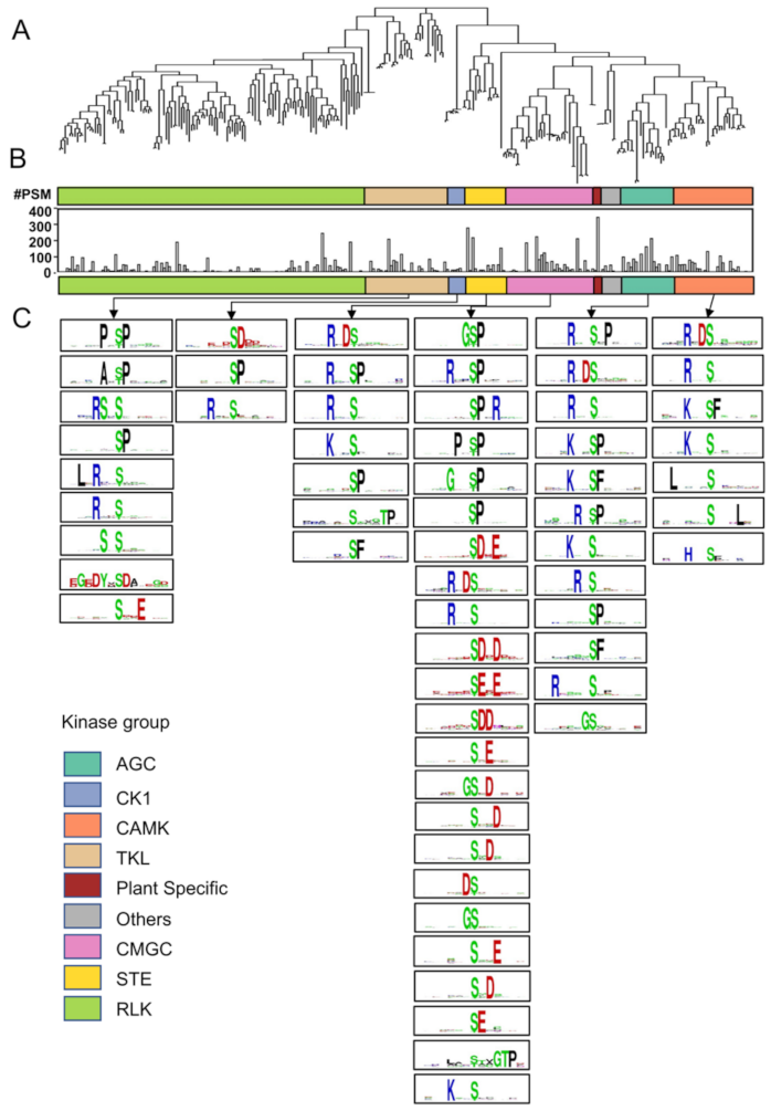 Biomolecules 11 01218 g002