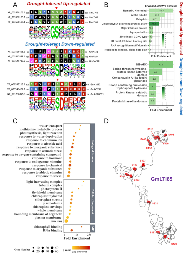 Biomolecules 11 01218 g004