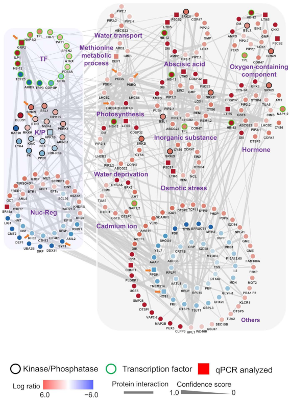 Biomolecules 11 01218 g005