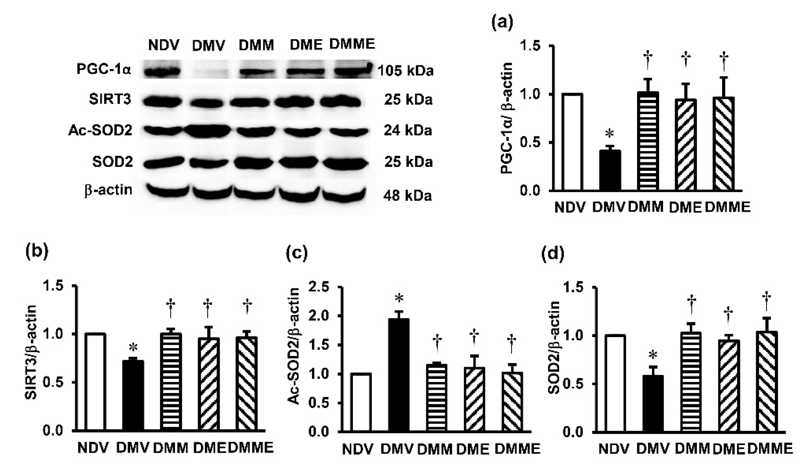 Biomolecules 11 01224 g006