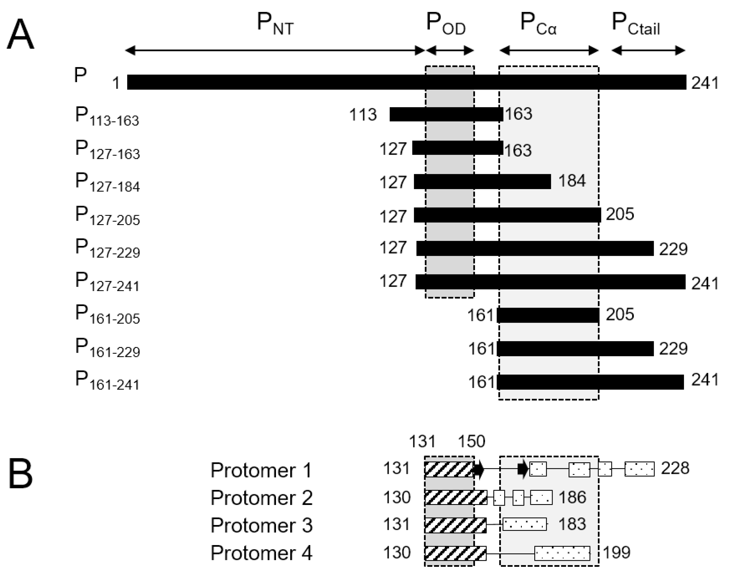 Biomolecules 11 01225 g001