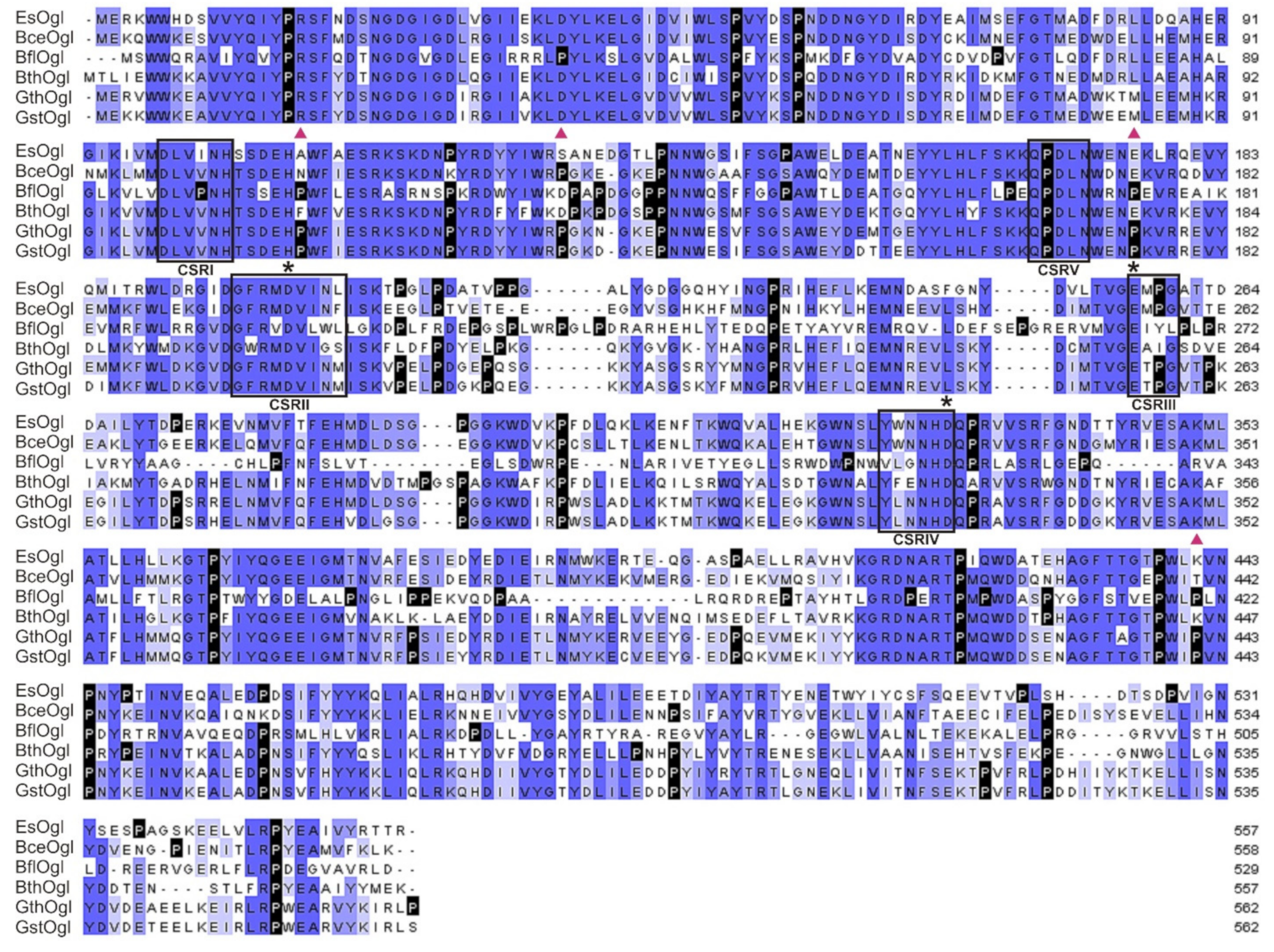 Biomolecules 11 01229 g001 Biomolecules 11 01229 g001