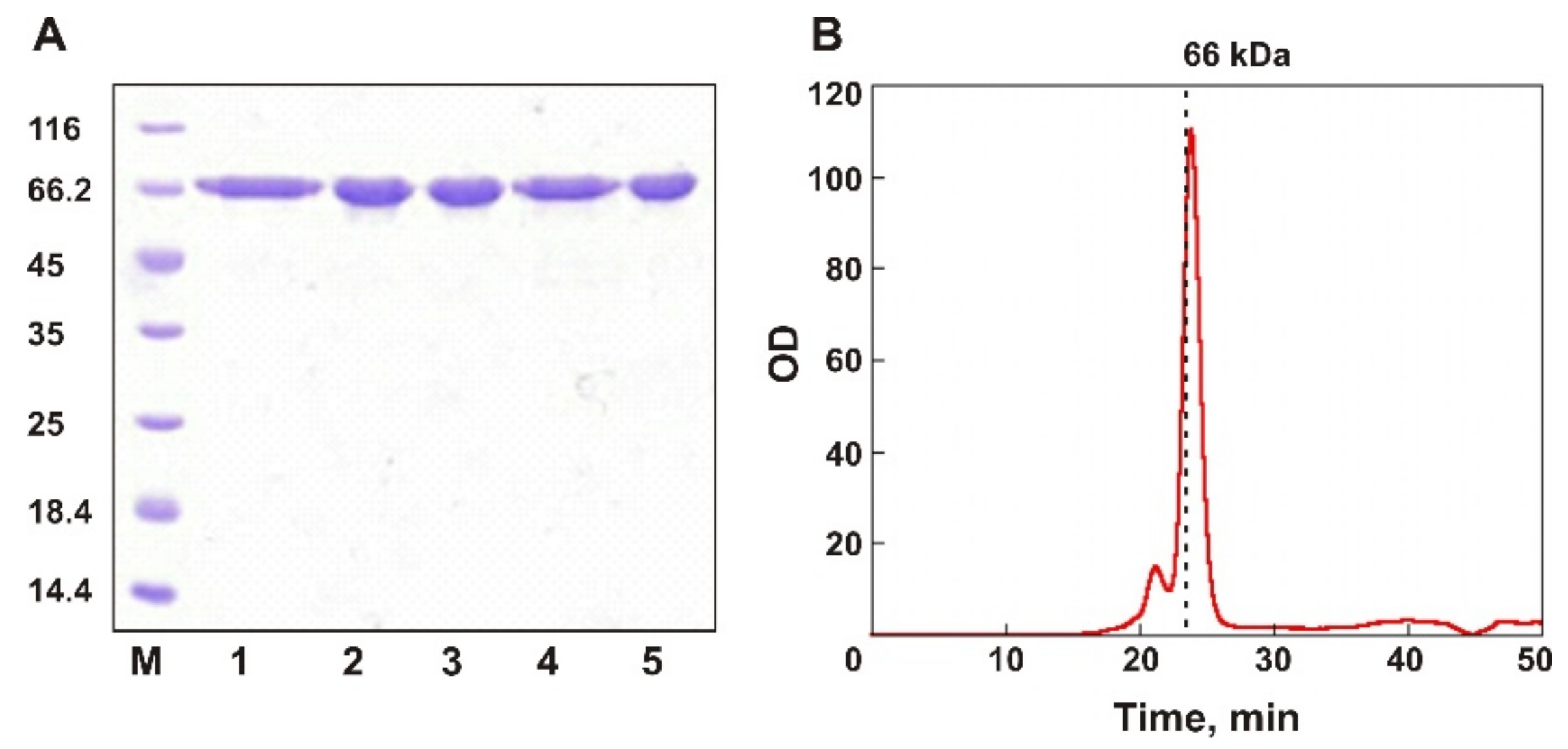Biomolecules 11 01229 g002 Biomolecules 11 01229 g002